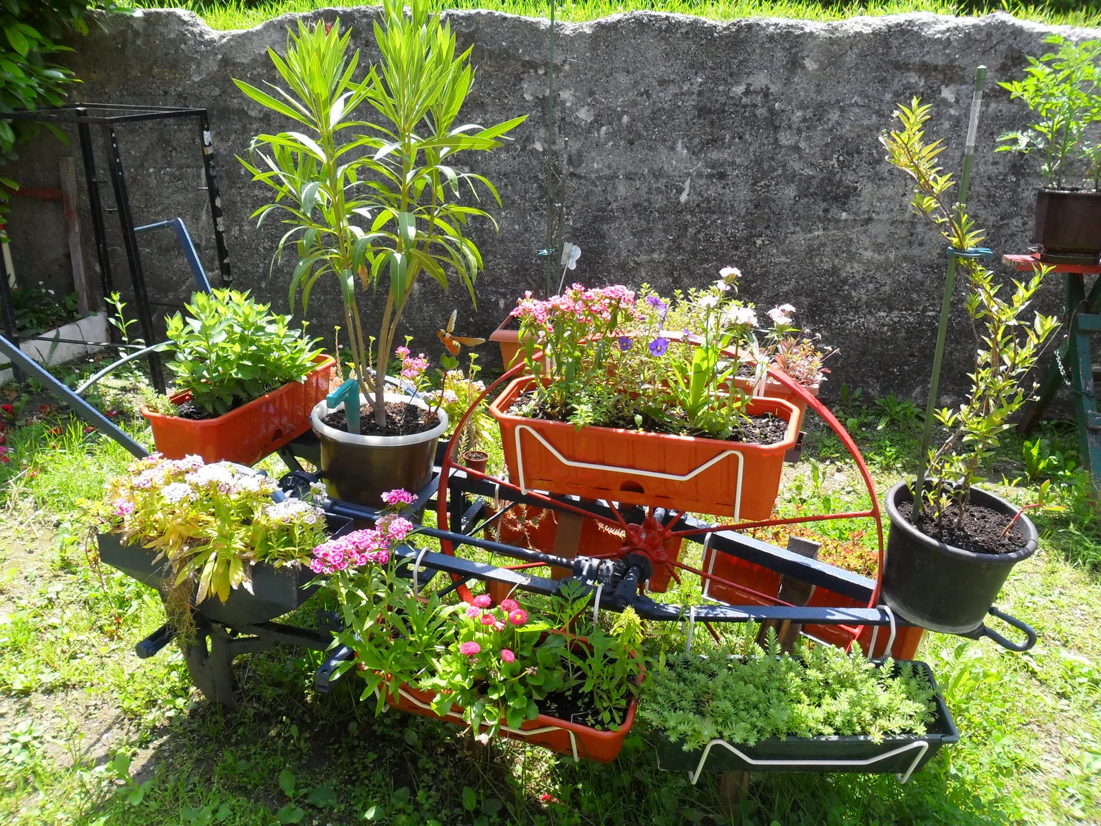 Image 1104857 (auto)