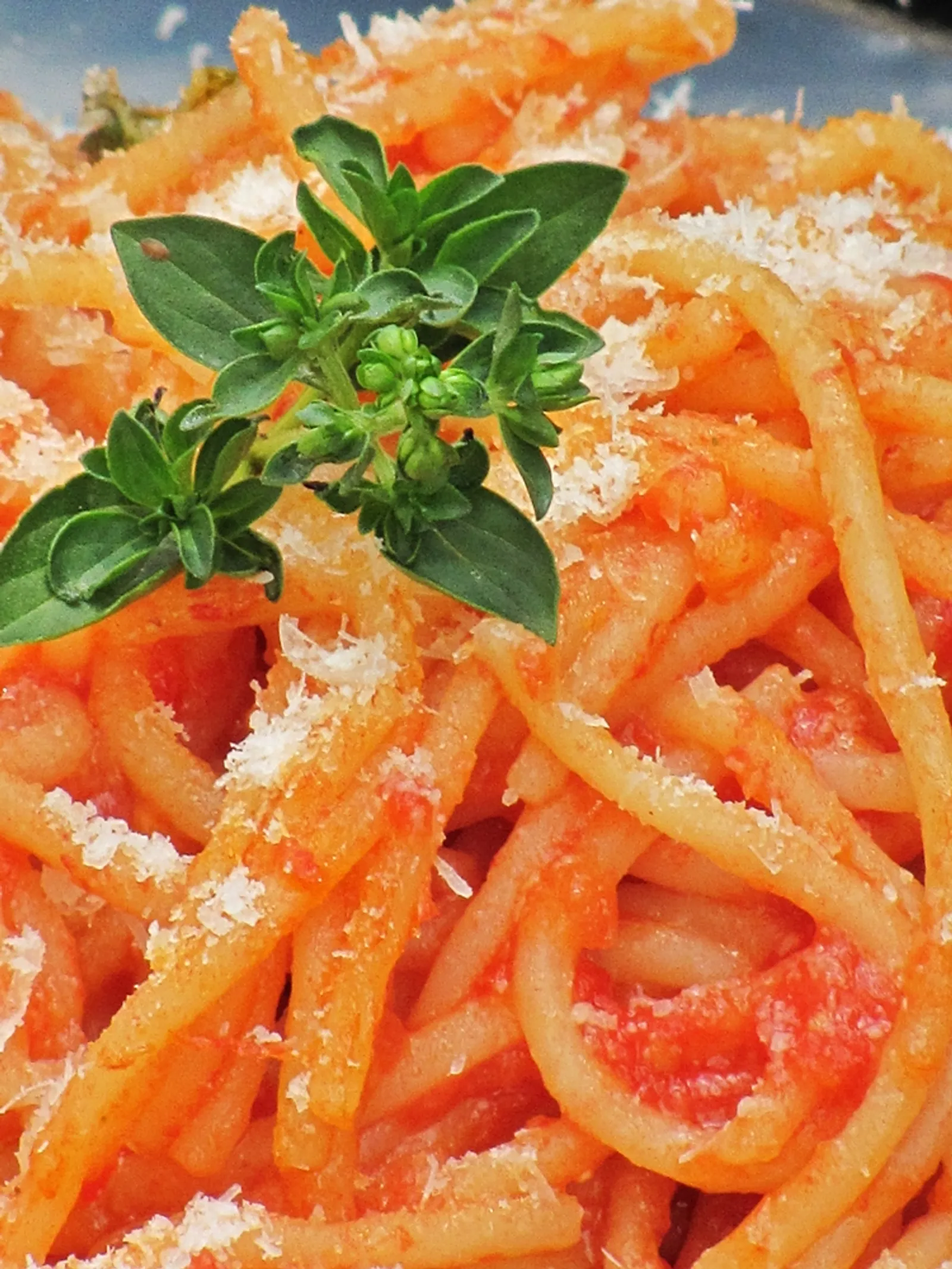 Spaghetti crudi - "sirovi" špageti sa rajčicama --- Zoilo