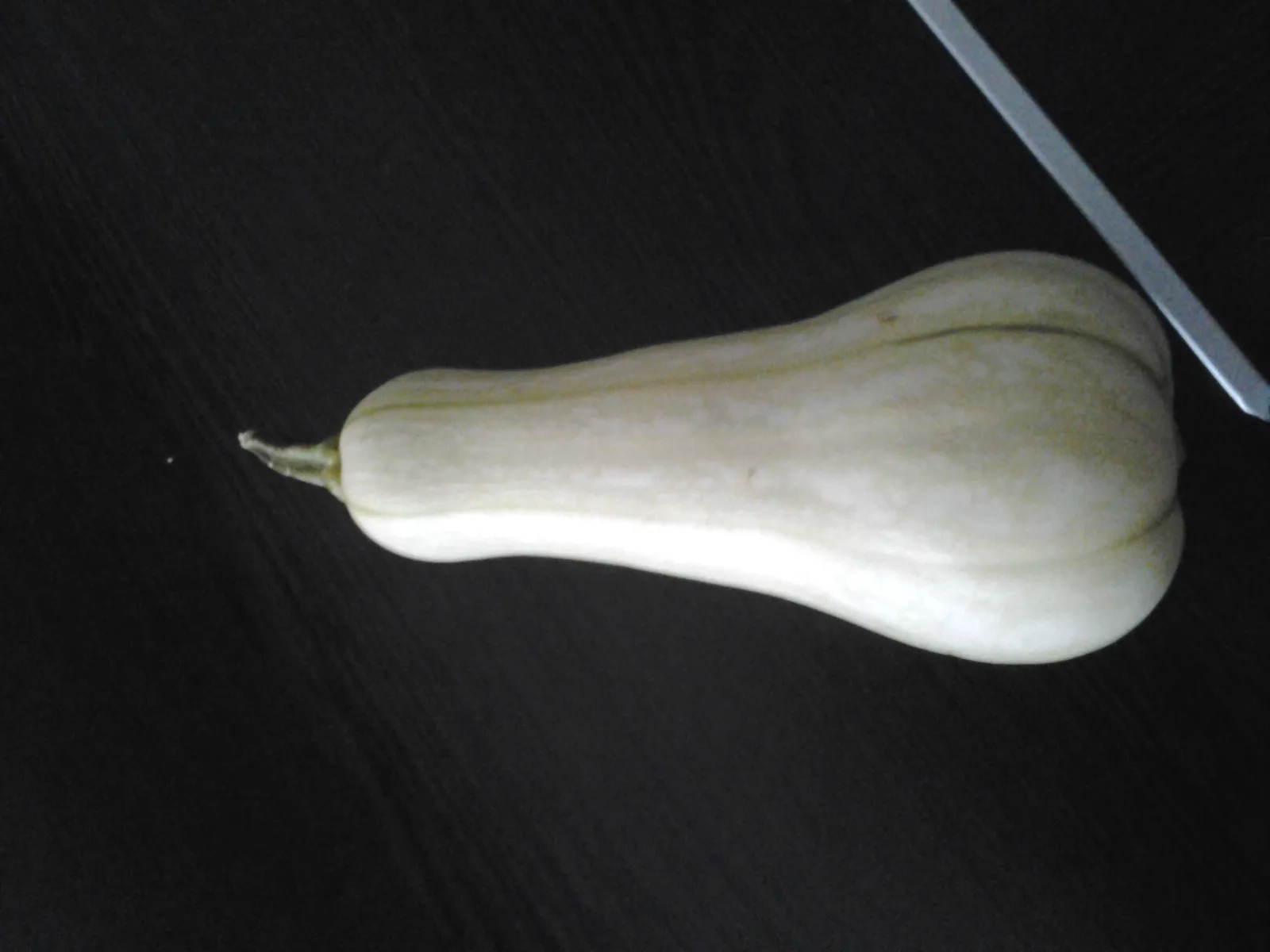 tikvica