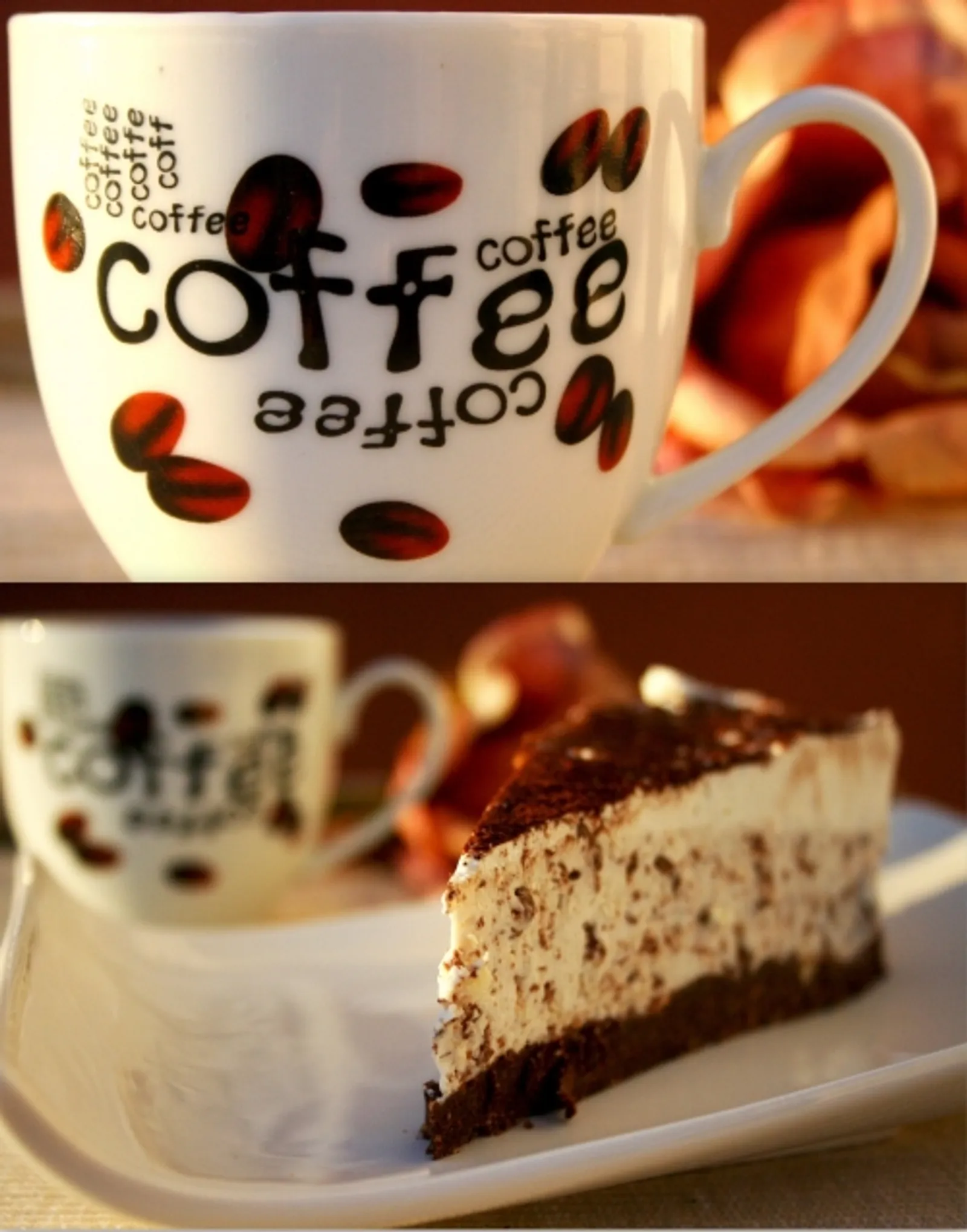 Stella Stracciatella by Omnia