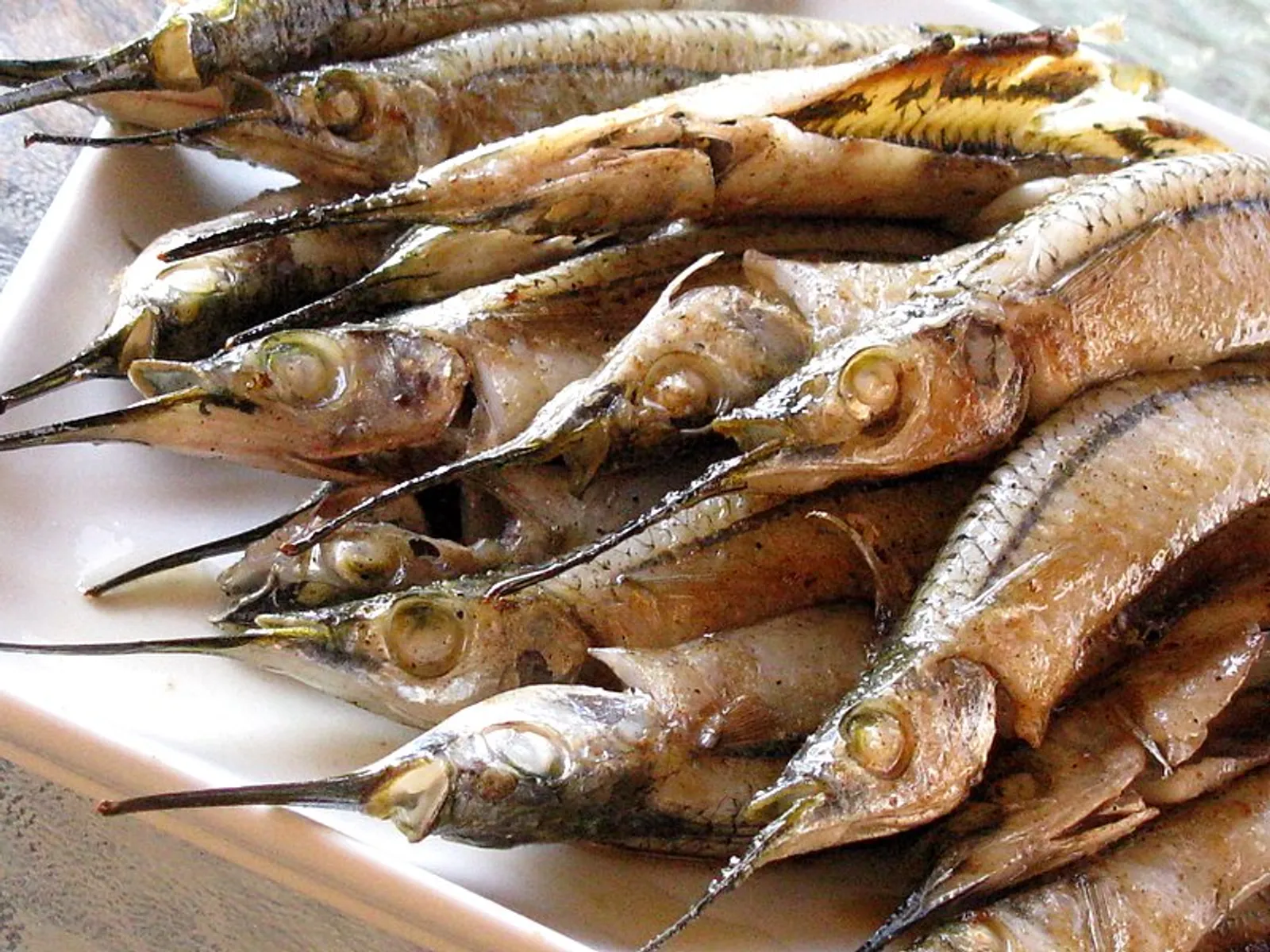 garfish