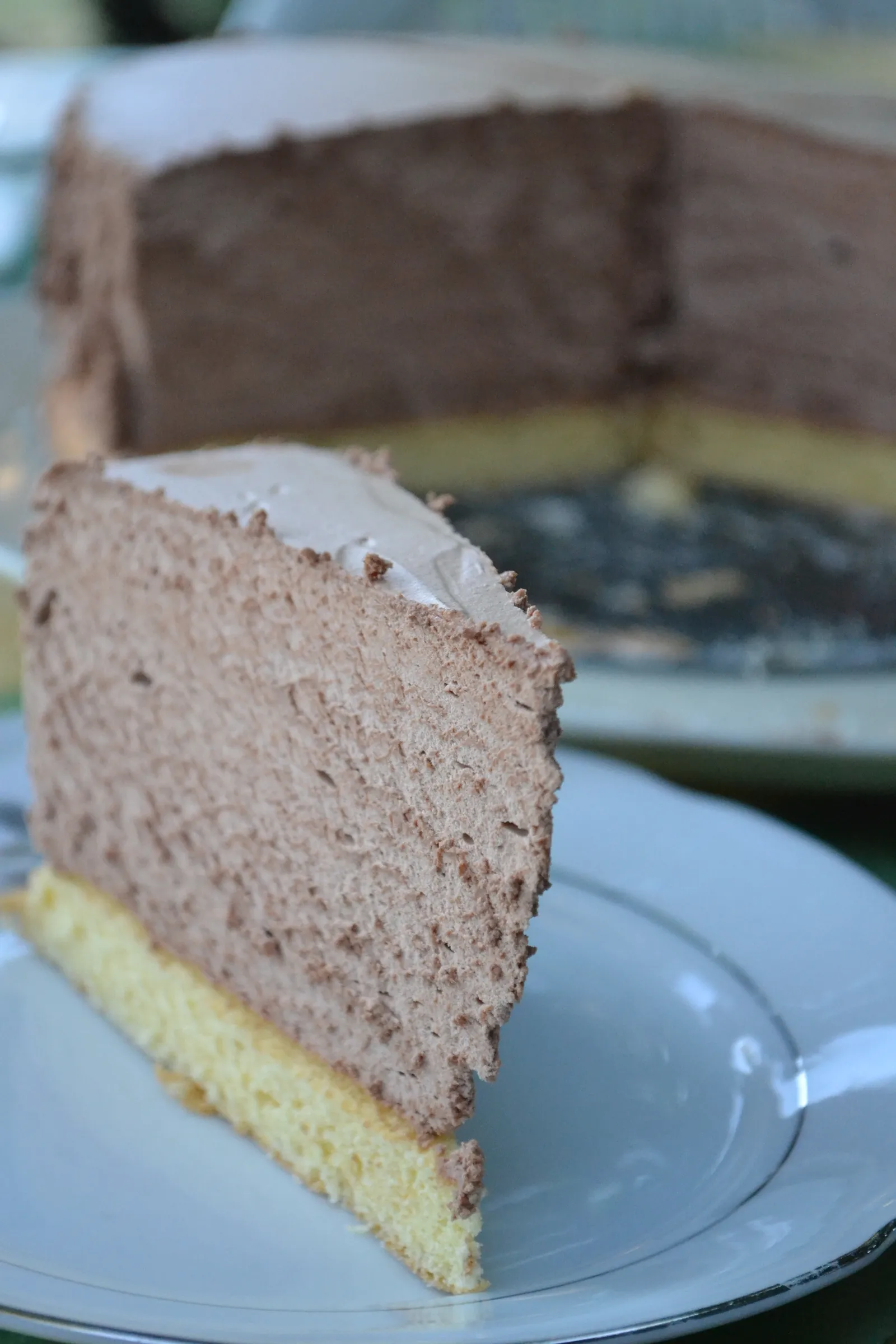 Bijela Mousse Torta dobila boju ....