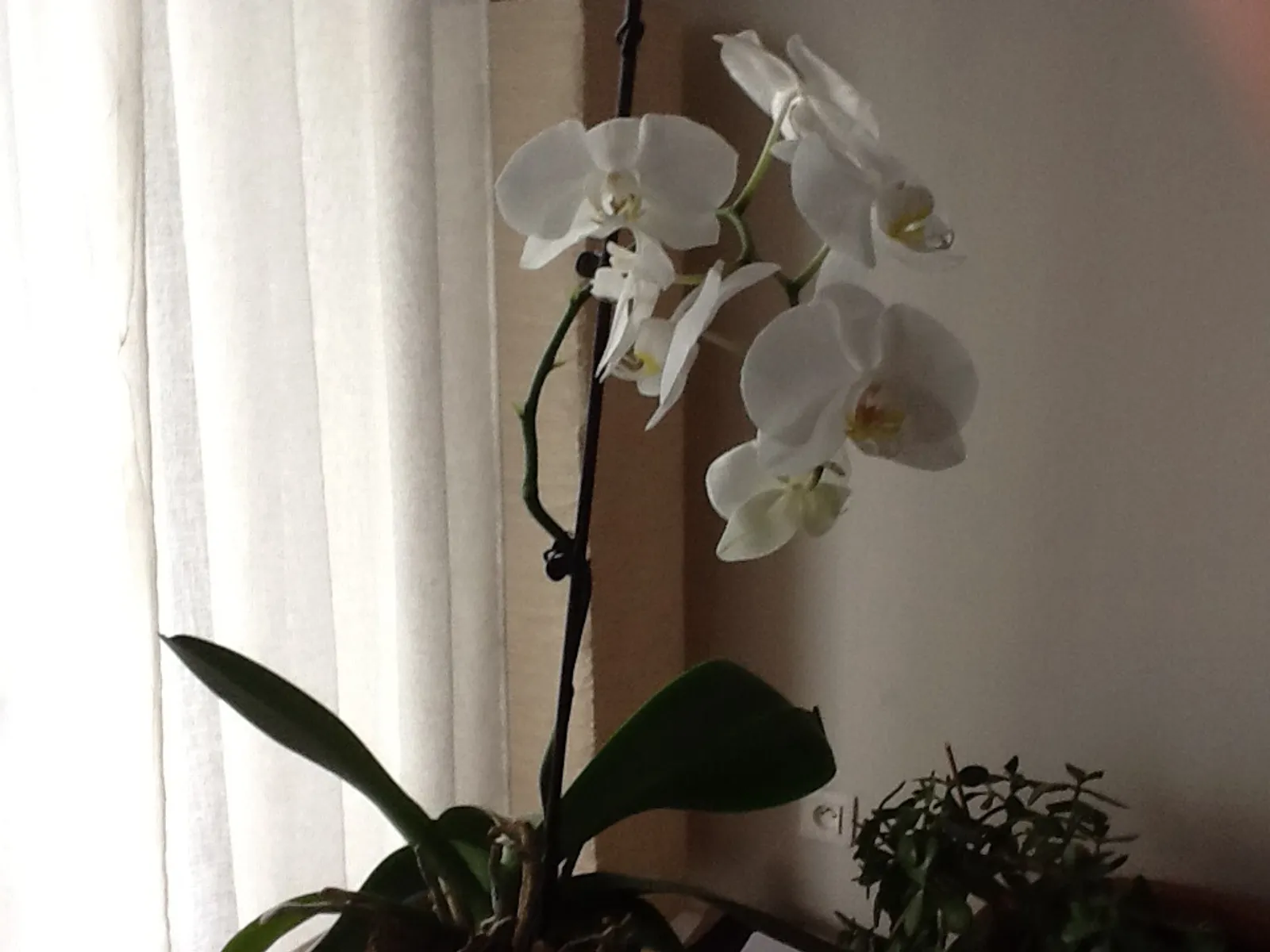 Image 1799197 (auto)