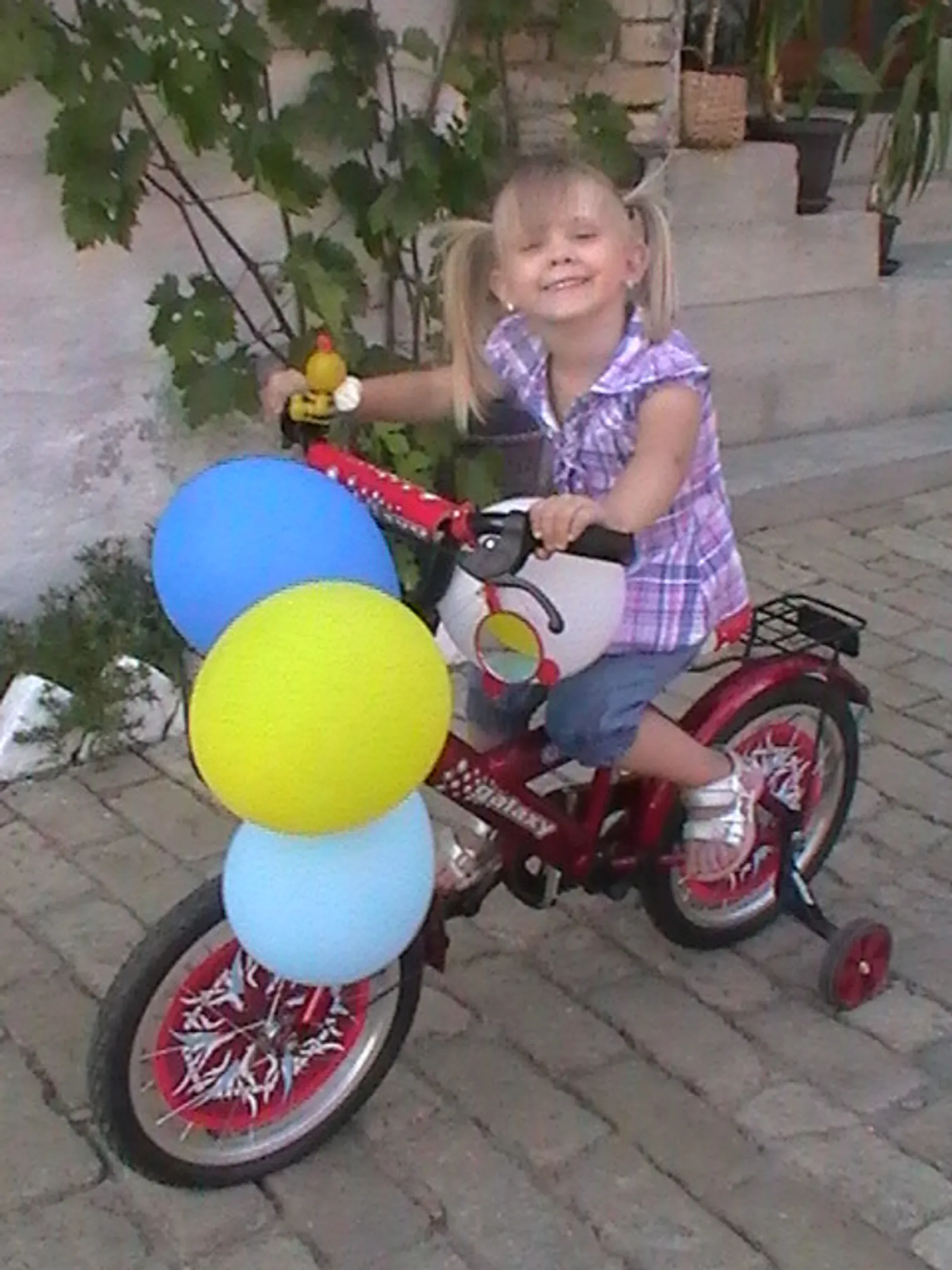 Moja slavljenica