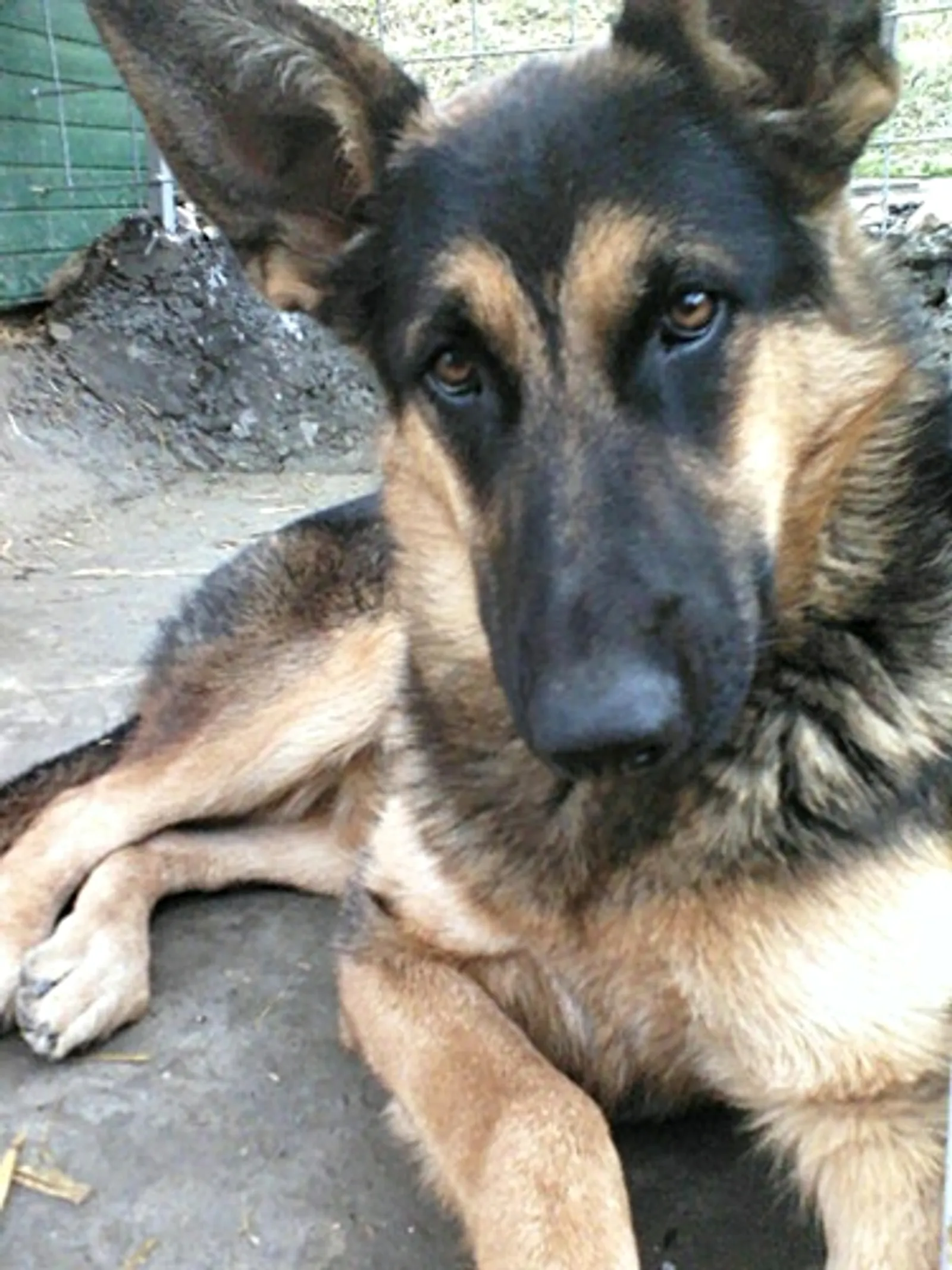 Moja Affy <3