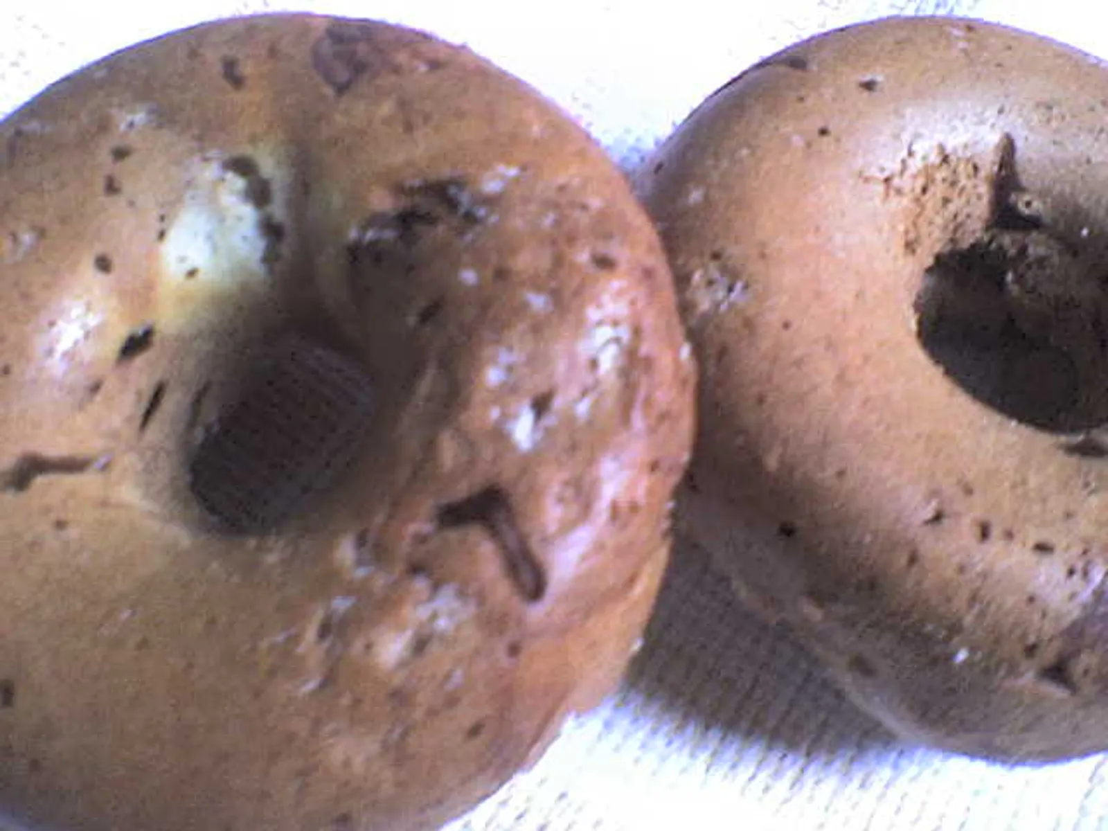 Donuts (čokoladni) pečen…