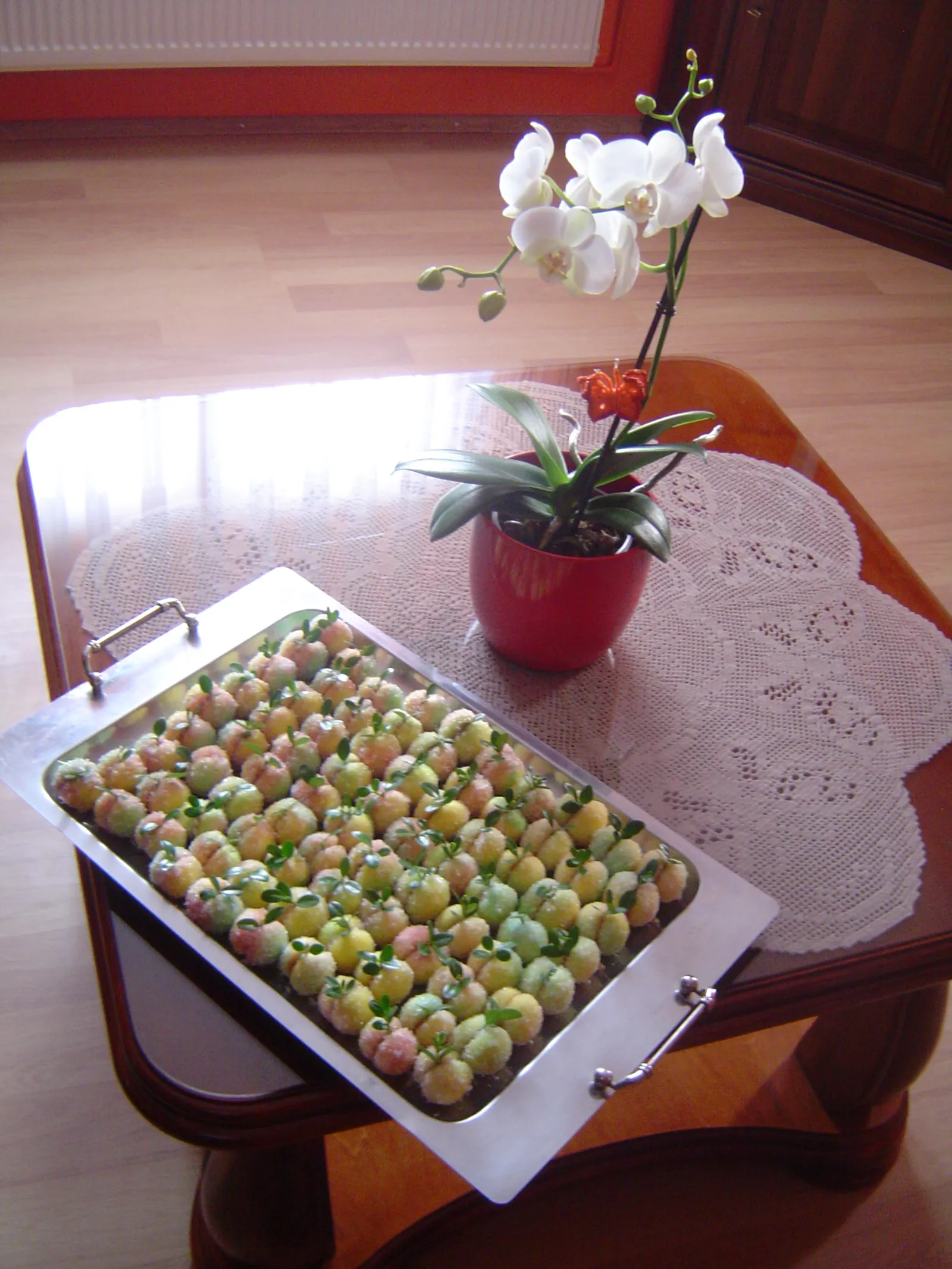 Image 1120089 (auto)