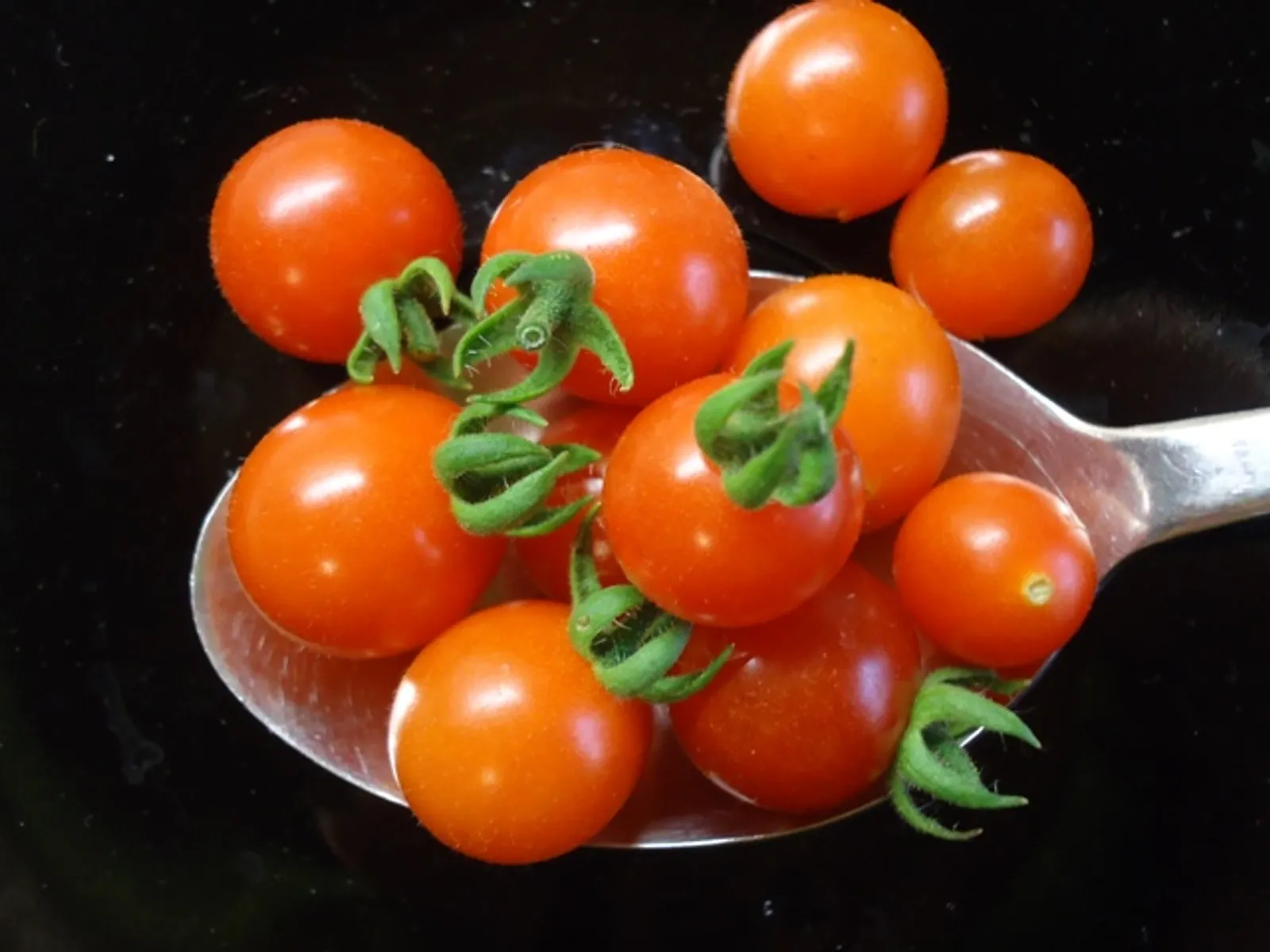 Mini rajčice