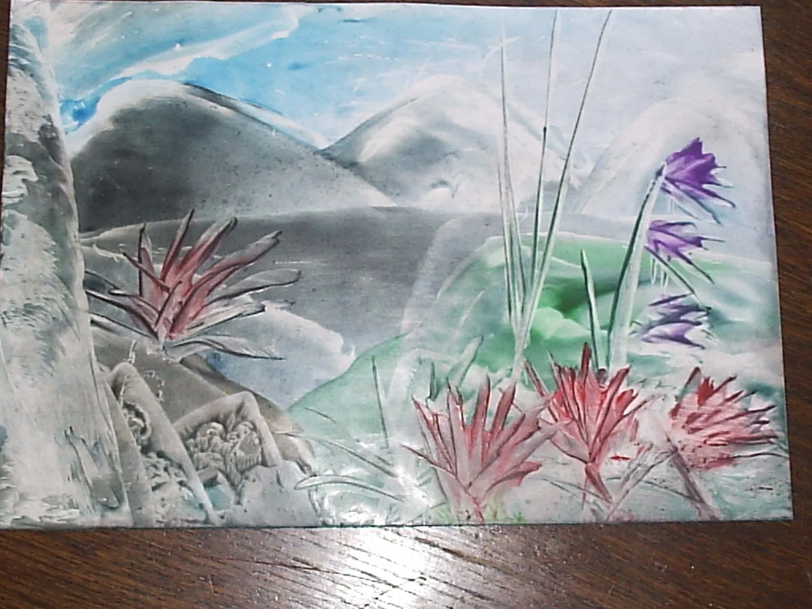 crvene agave