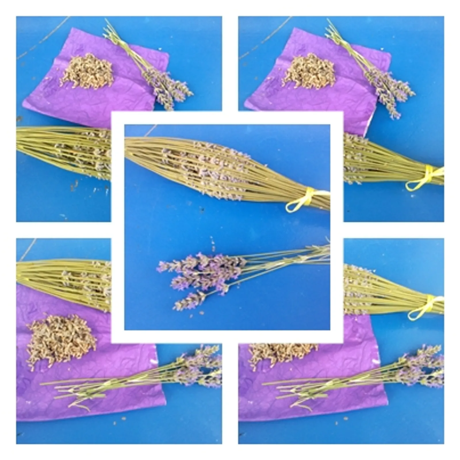 Lavanda...