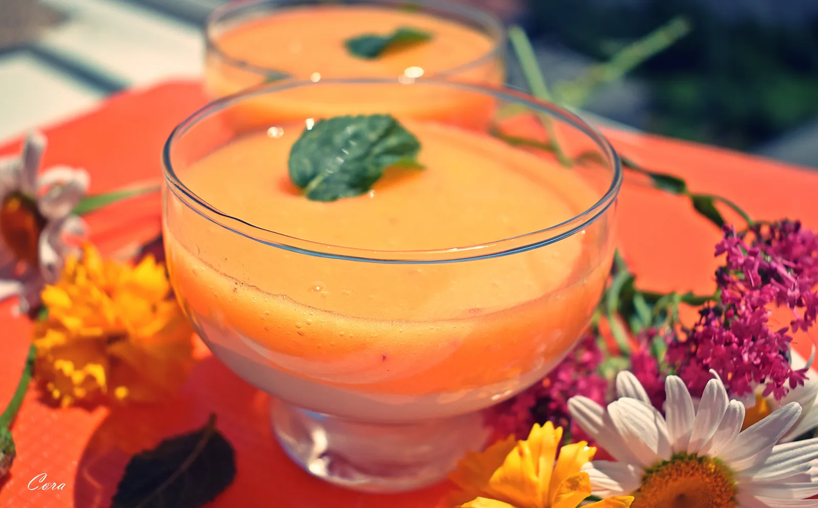 ღ Mousse od bijele čokolade, ricotta sira i bresaka