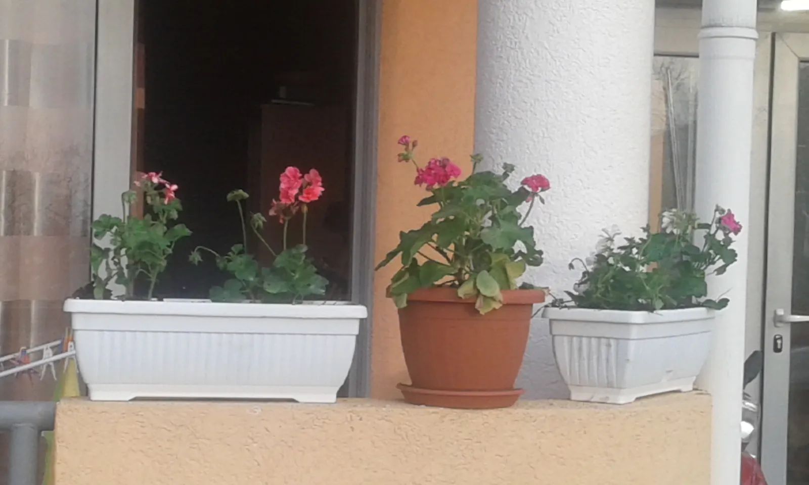 Image 2663140 (auto)