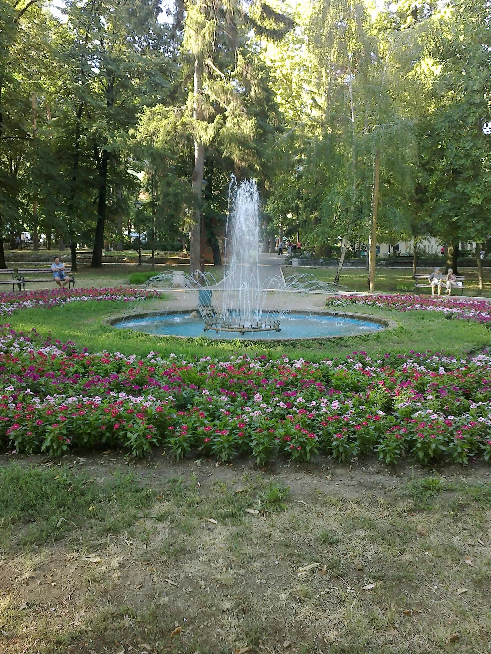 POZDRAV IZ SOKO BANJE