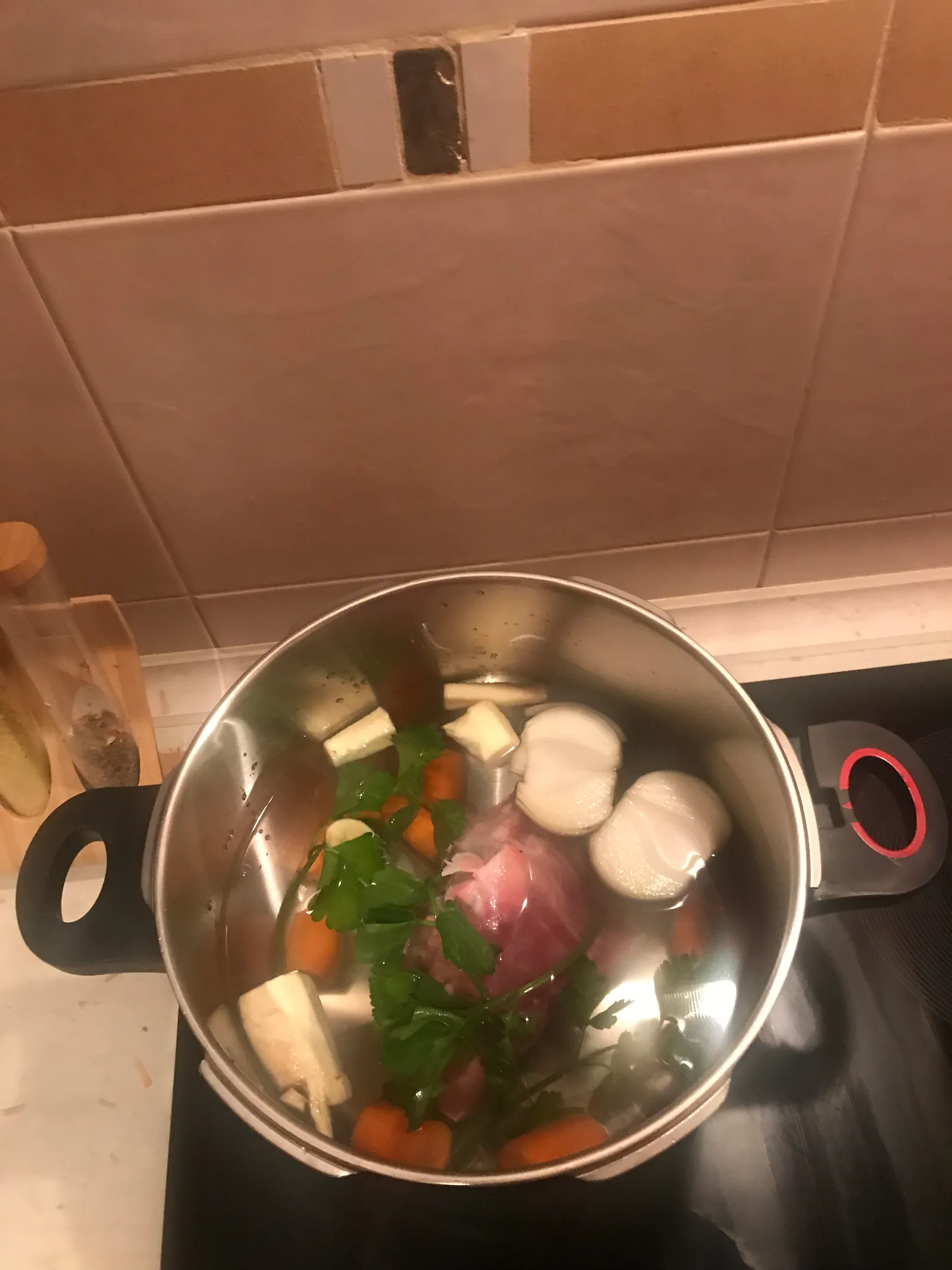 Domaća supa