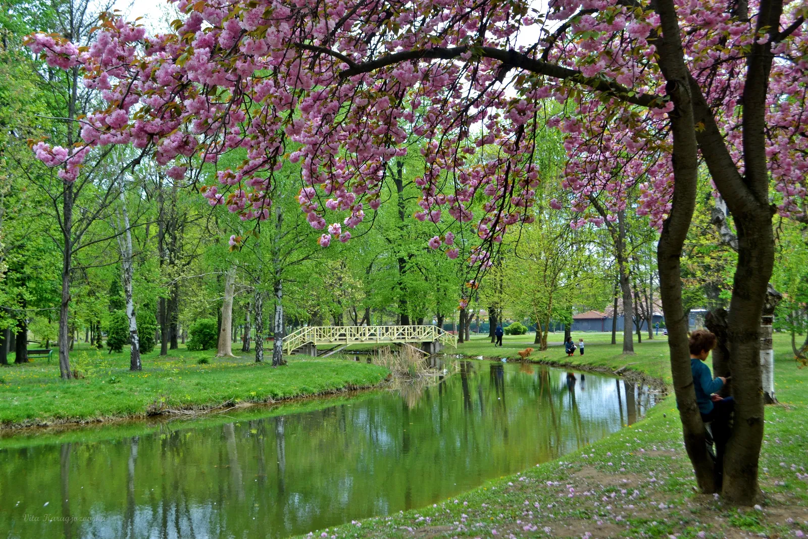 Skopje park