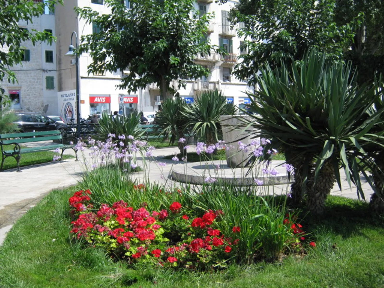 Image 1447387 (auto)