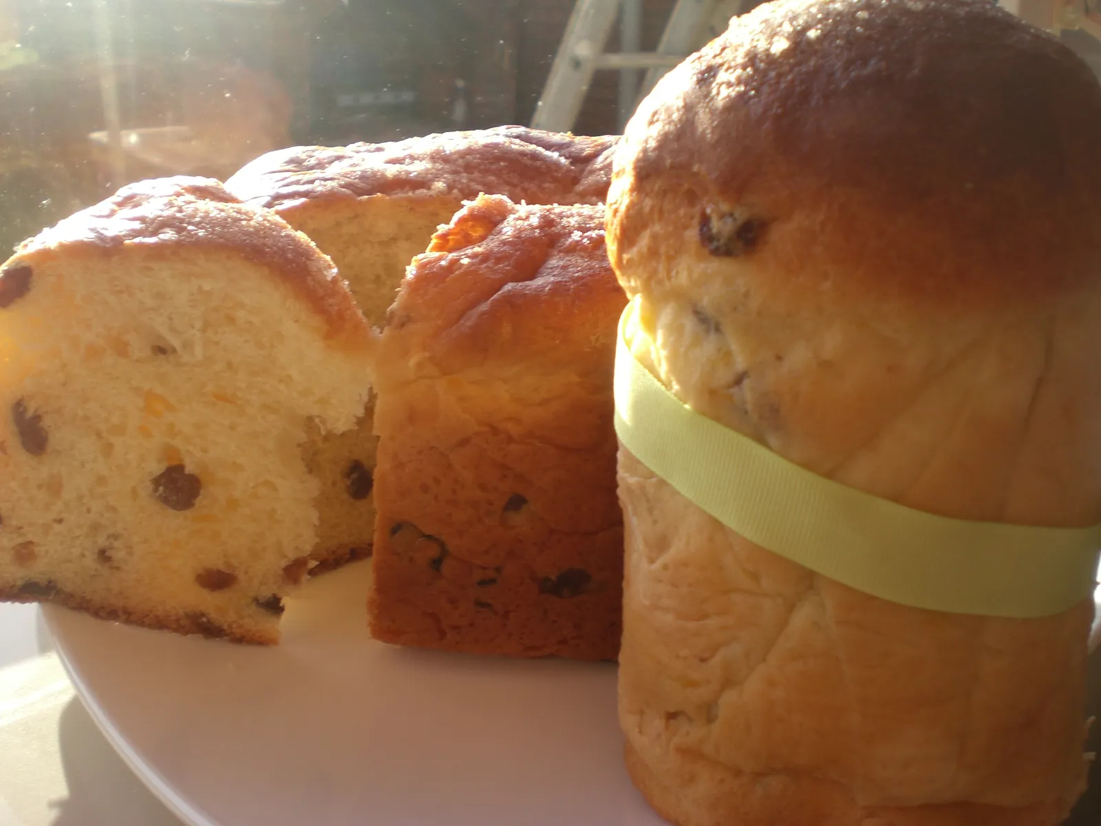 Panetone by Mignonne