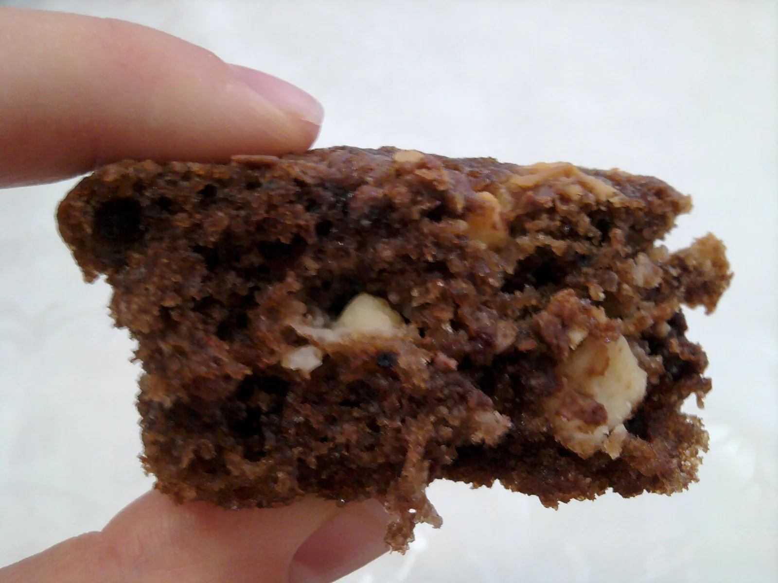 Chocolate Chip Muffins