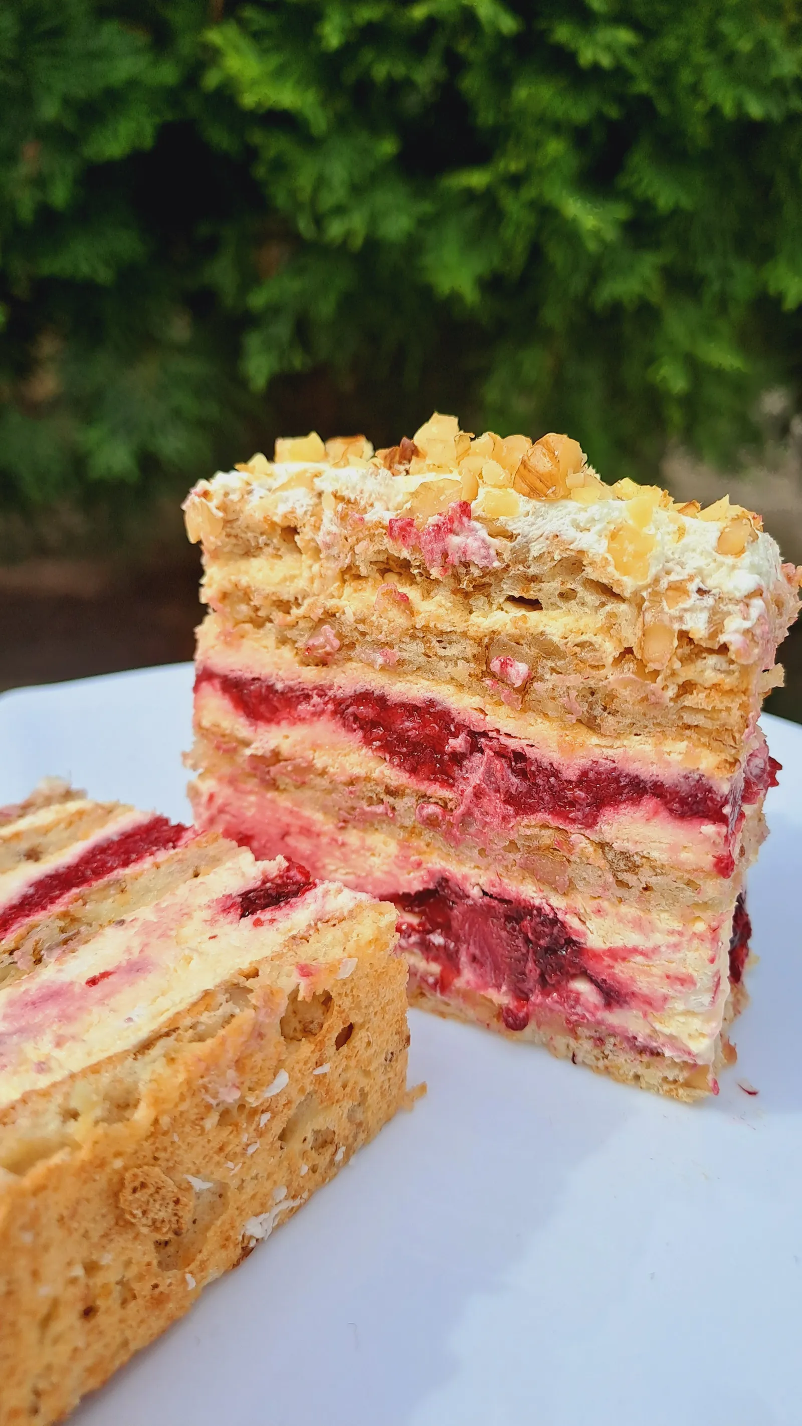 Moja Moskva torta
