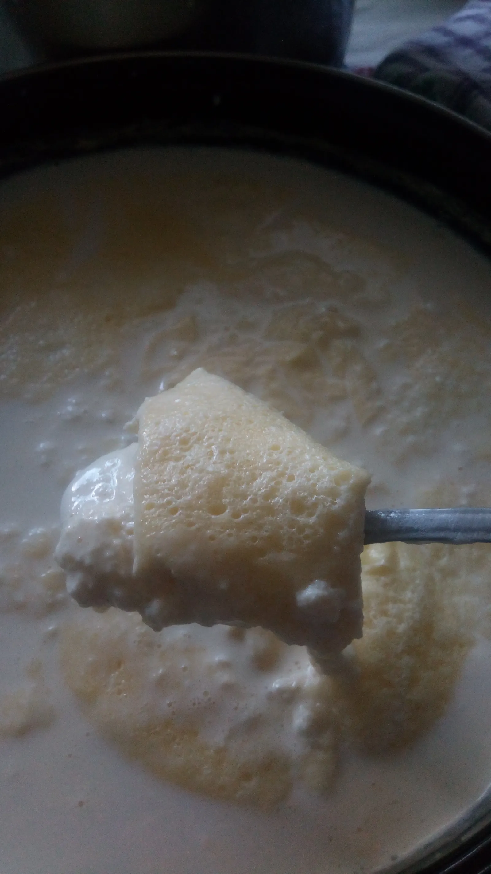 domaći kajmak..