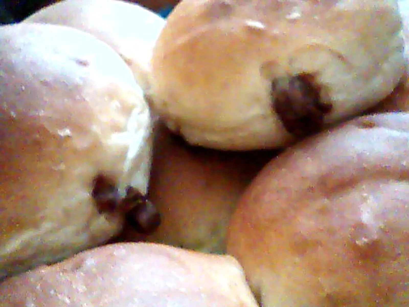bolle