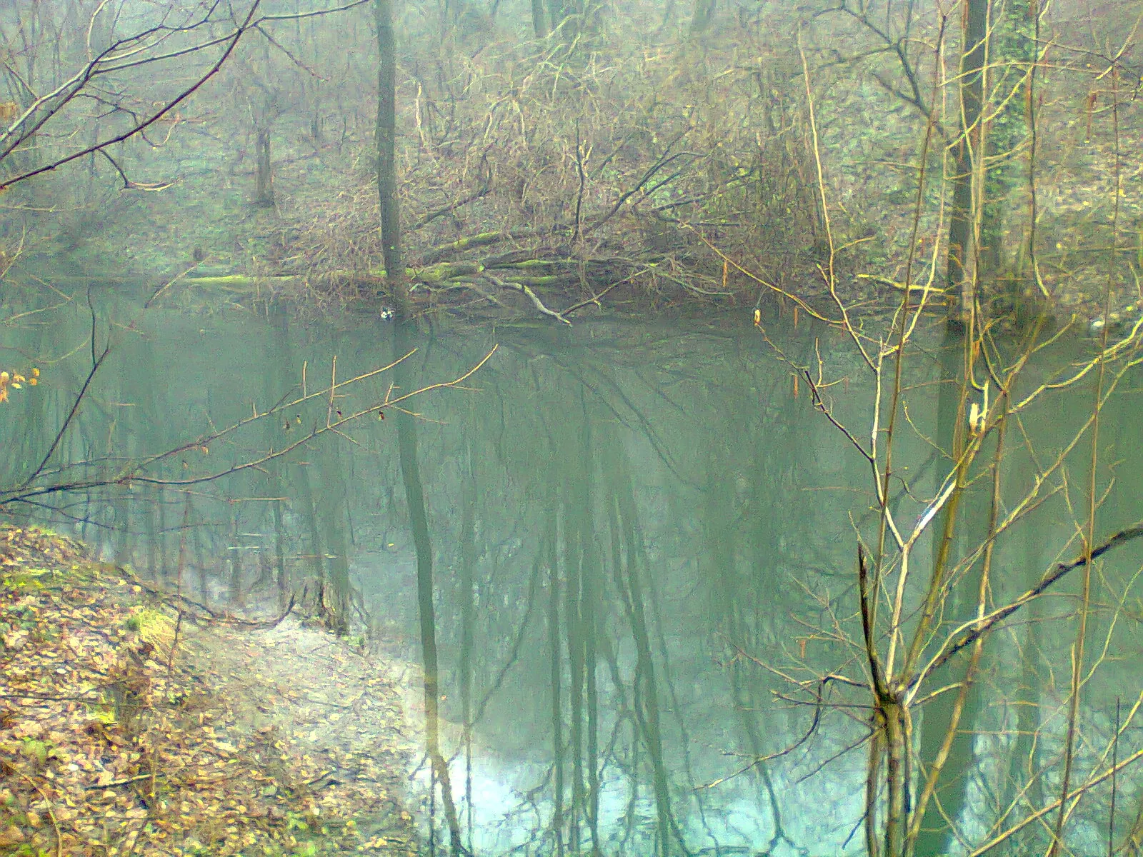 Kiša