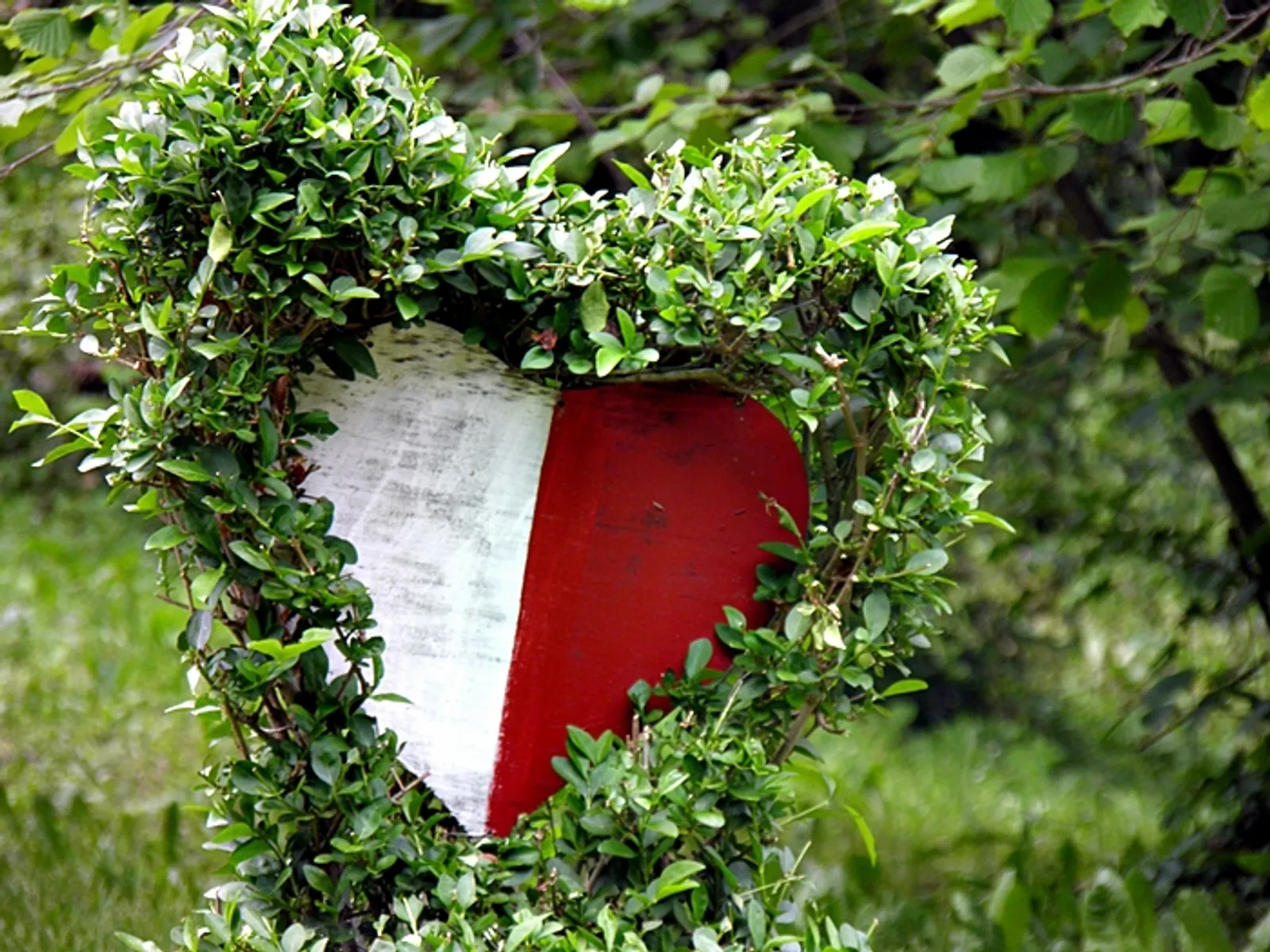 Hvala vam svima!