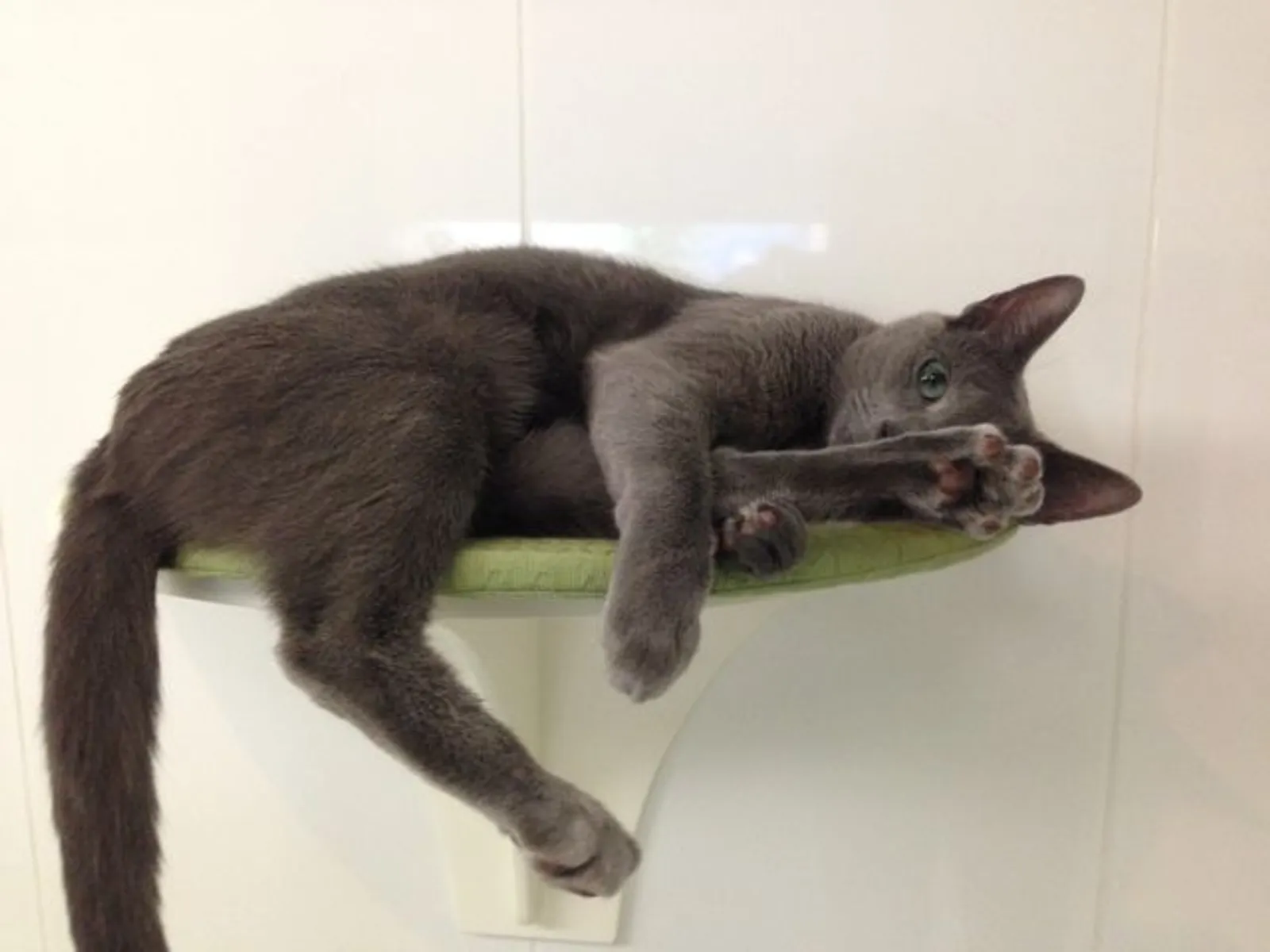 max