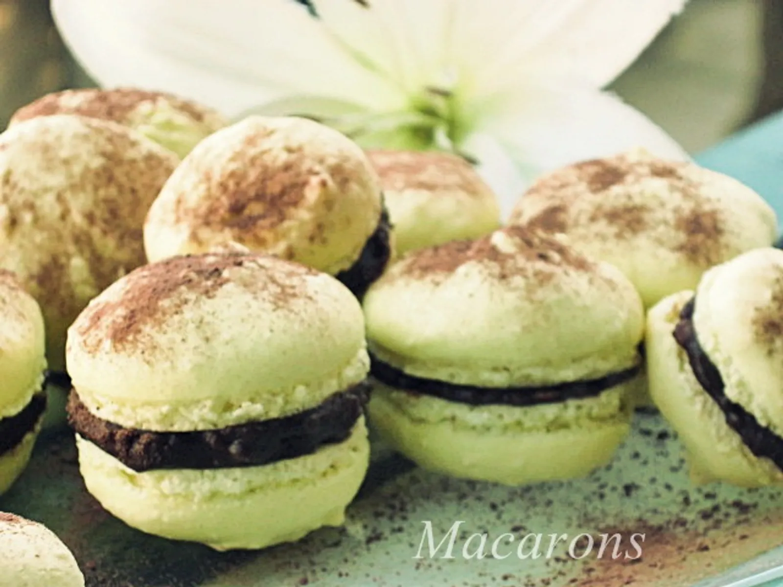 Macarons...DAJANAD