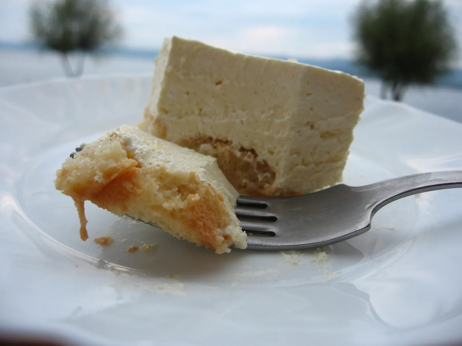 Peachy summer cake by bjondina mmmary…