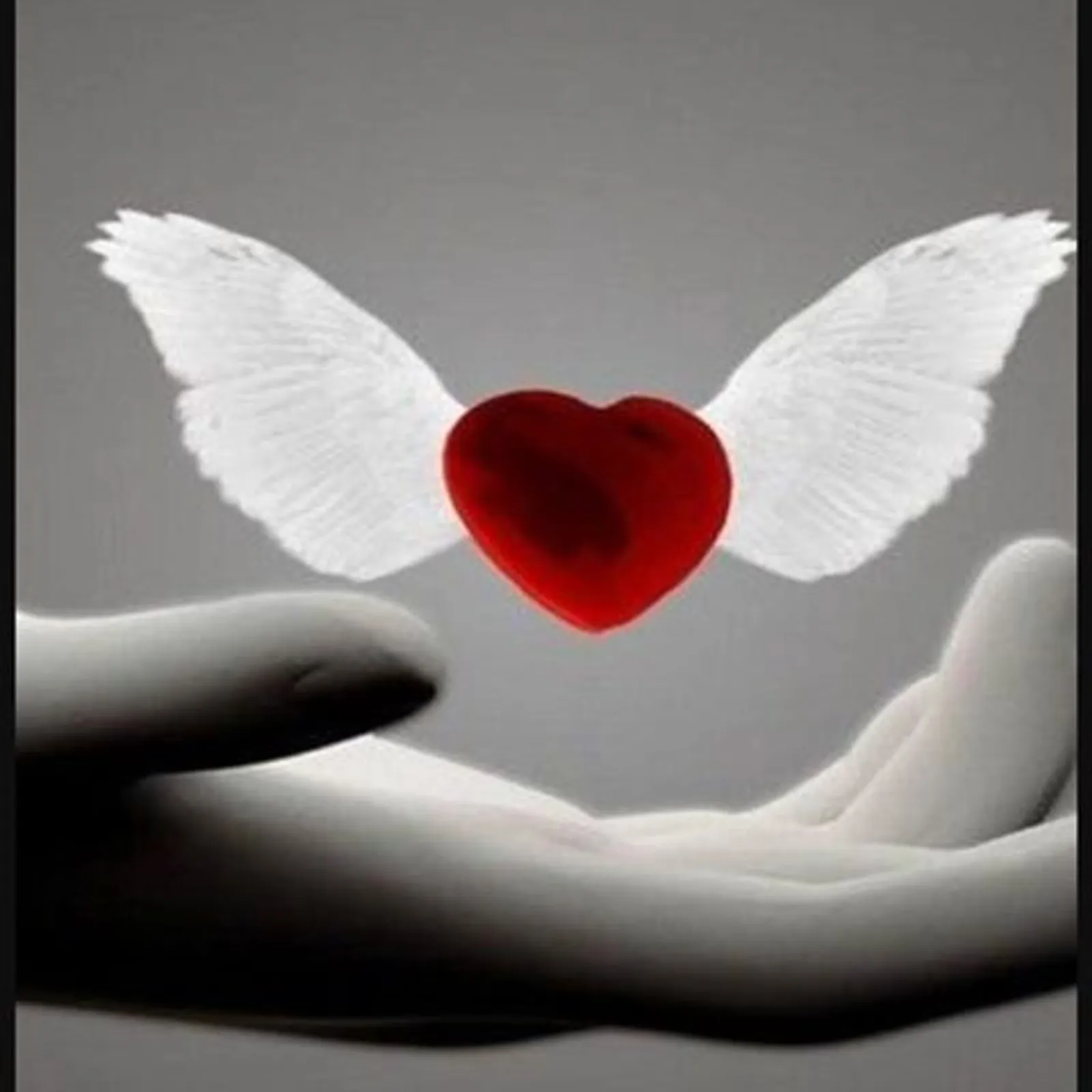 b868b376-636e-11eb-9f9b-0242ac120040