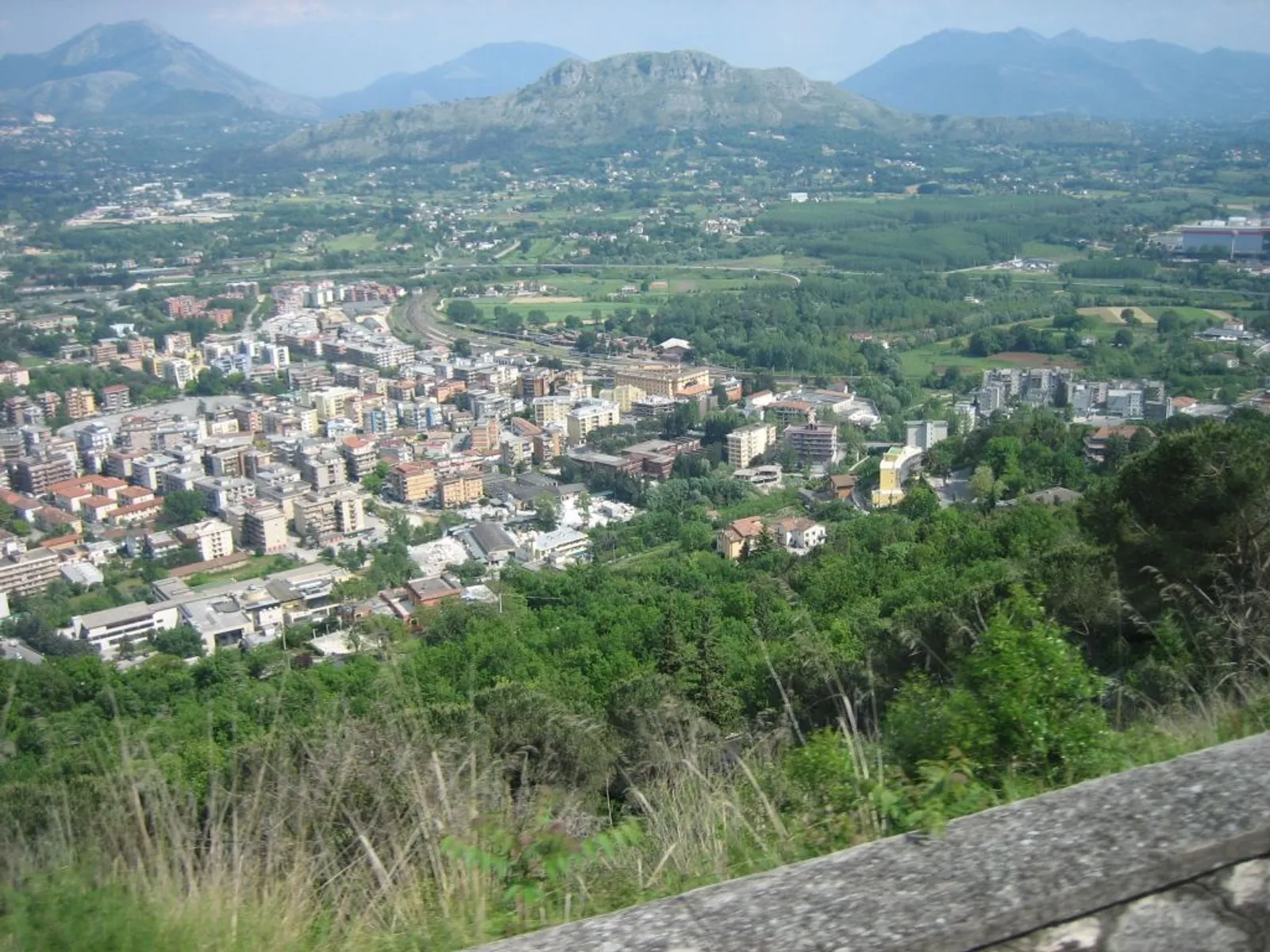članak