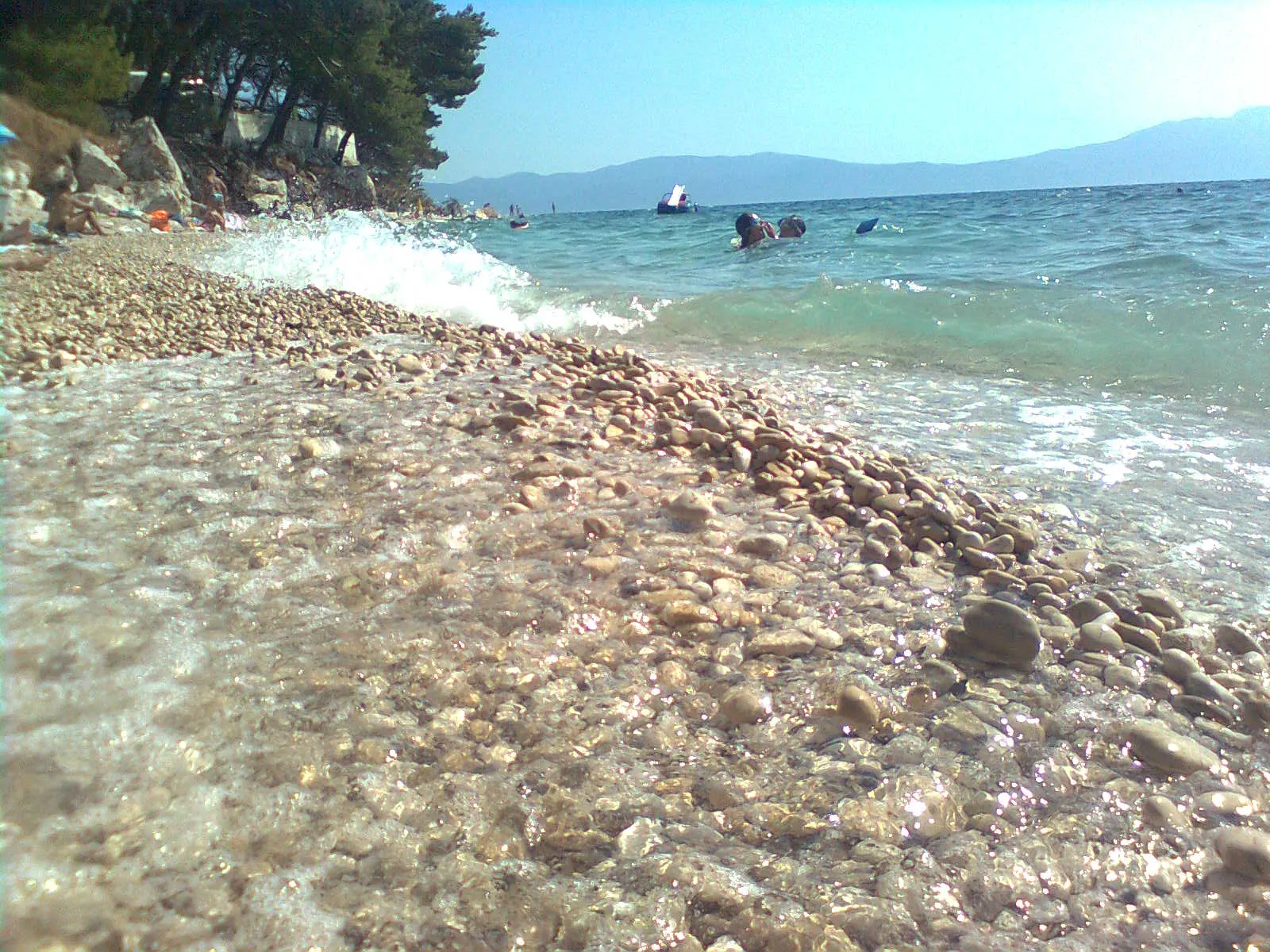 Image 1170721 (auto)