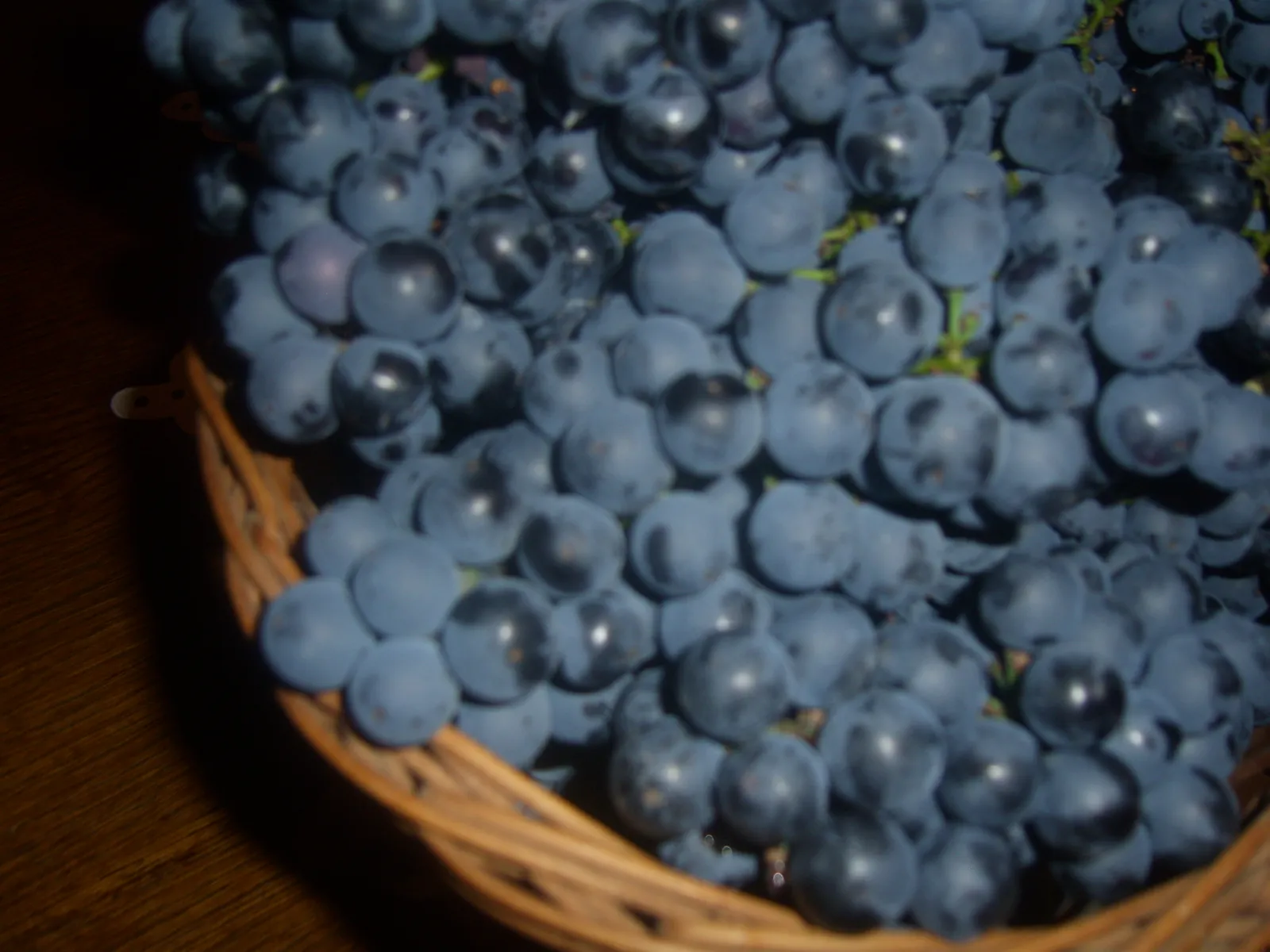 Frankovka