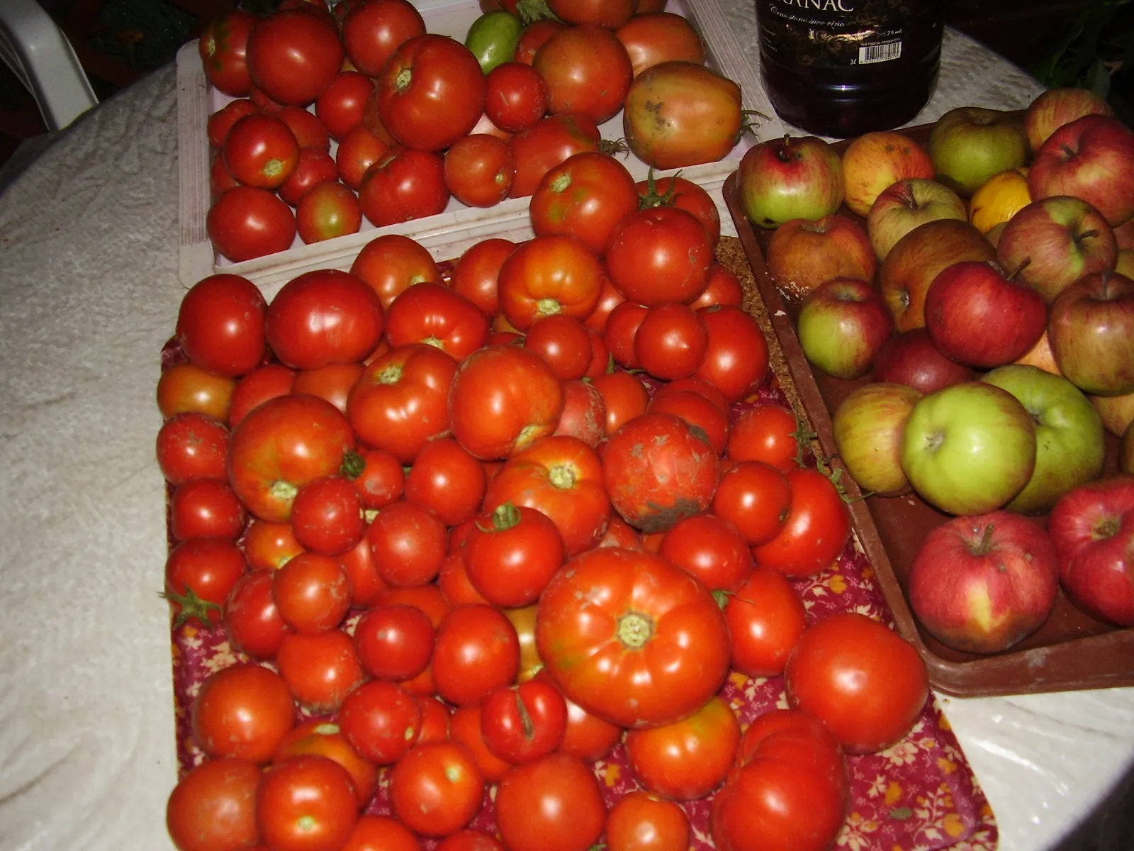 Image 1179375 (auto)