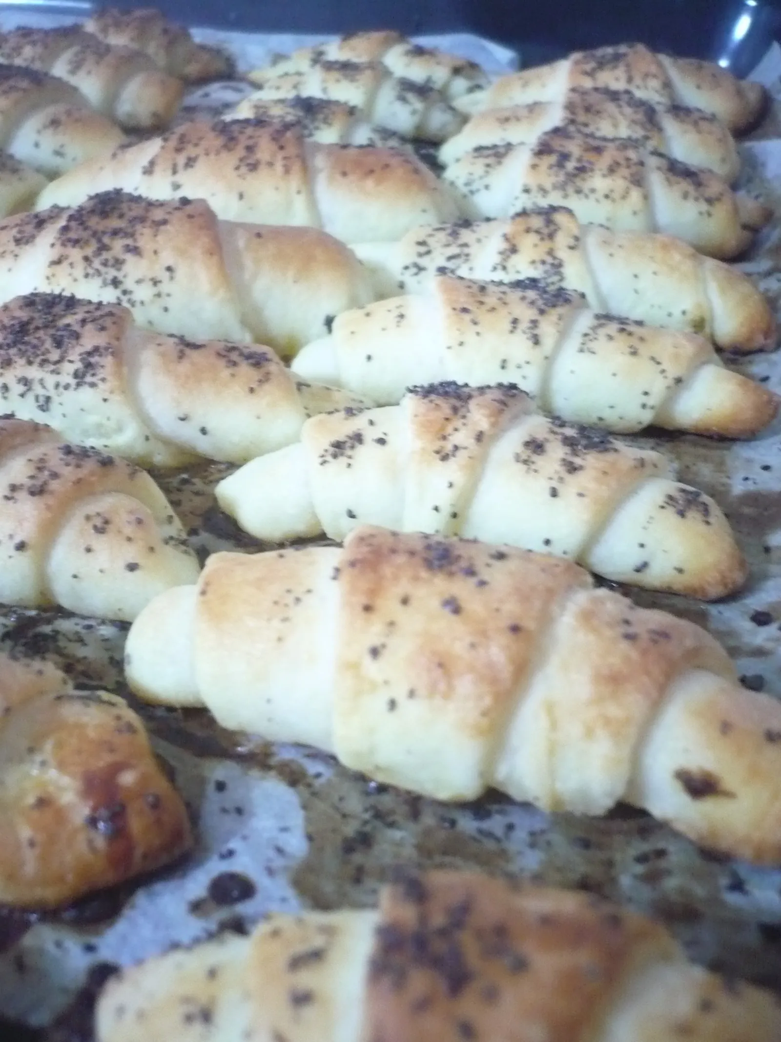 Slančeki