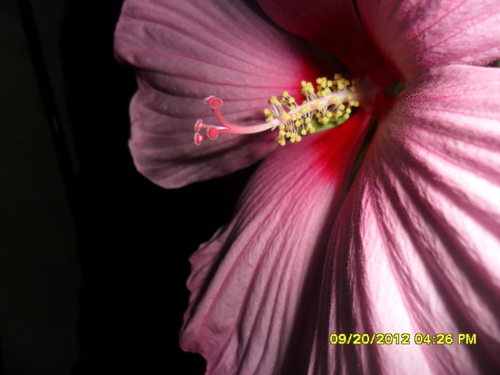 cc1005c2-634c-11eb-ab4f-0242ac120041