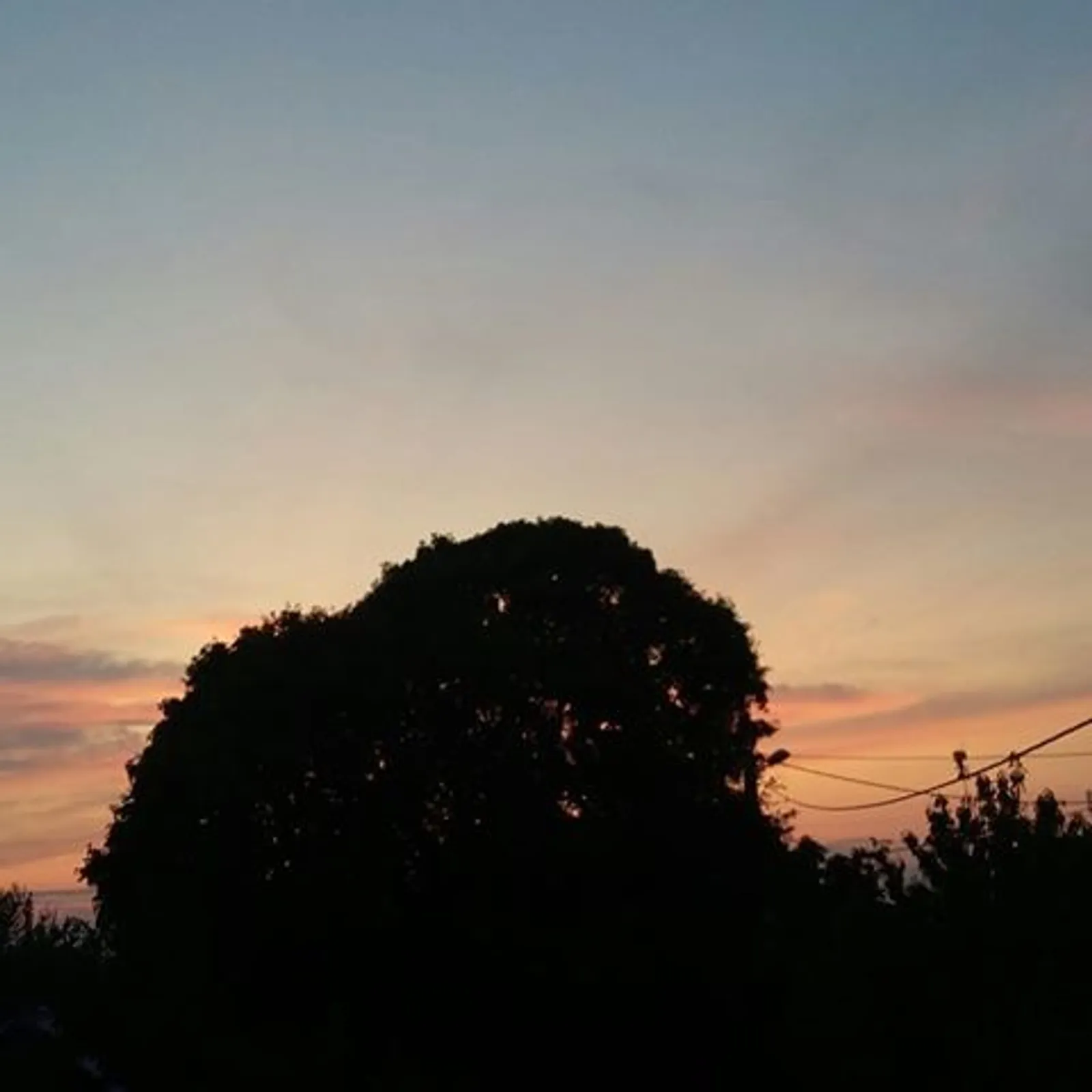 cc55d32e-6372-11eb-b9c8-0242ac120010