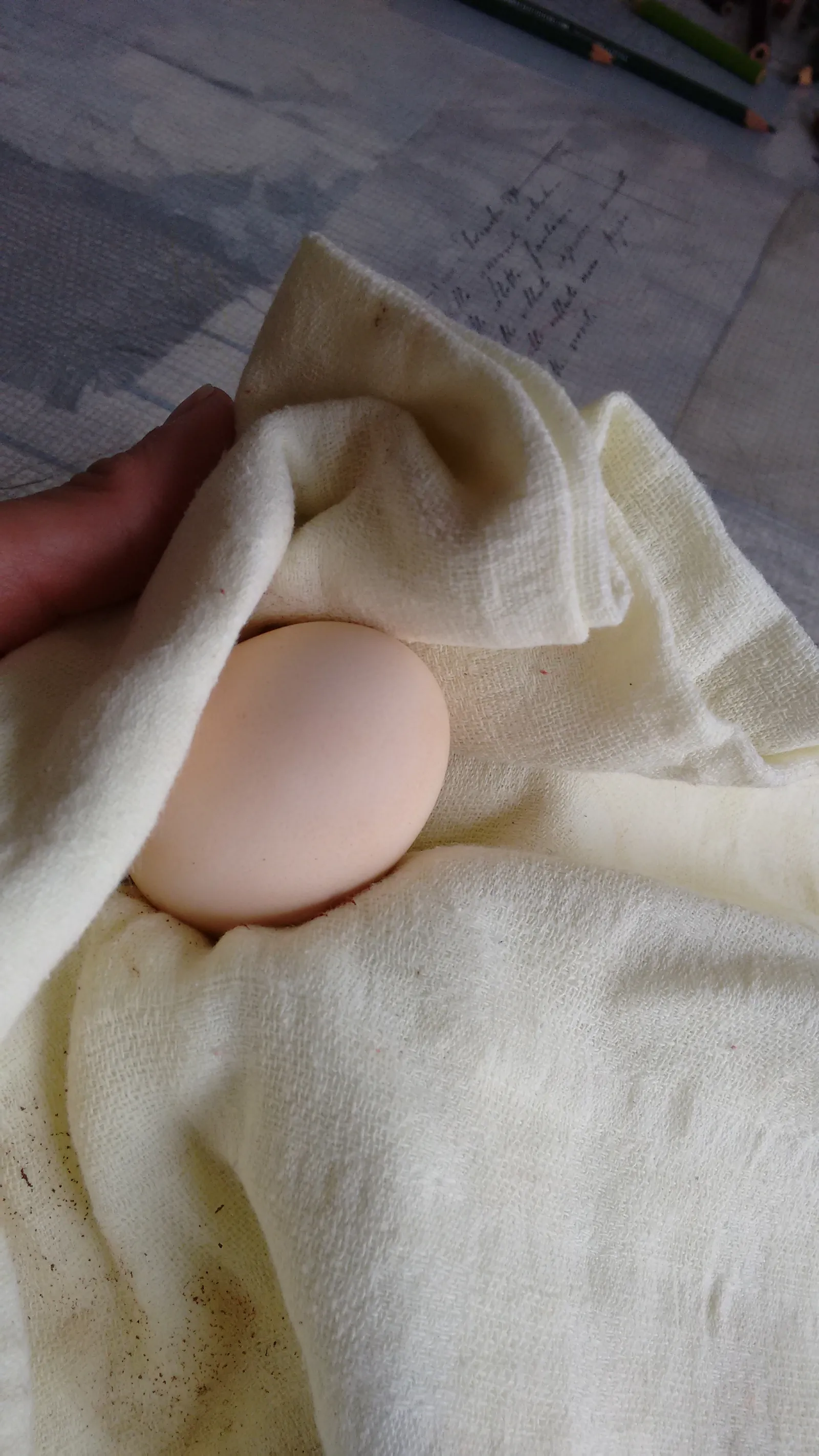 Dekorativna fotografija