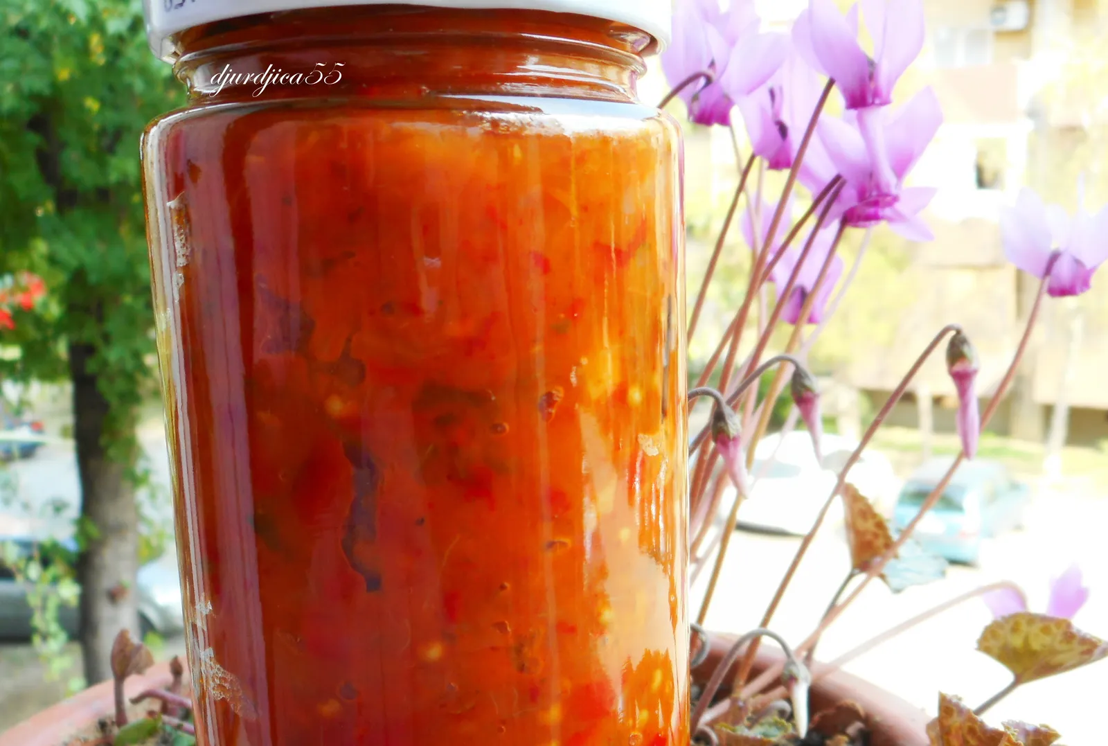Ajvar od patlidžana, paprike, rajčice, mrkve i luka
