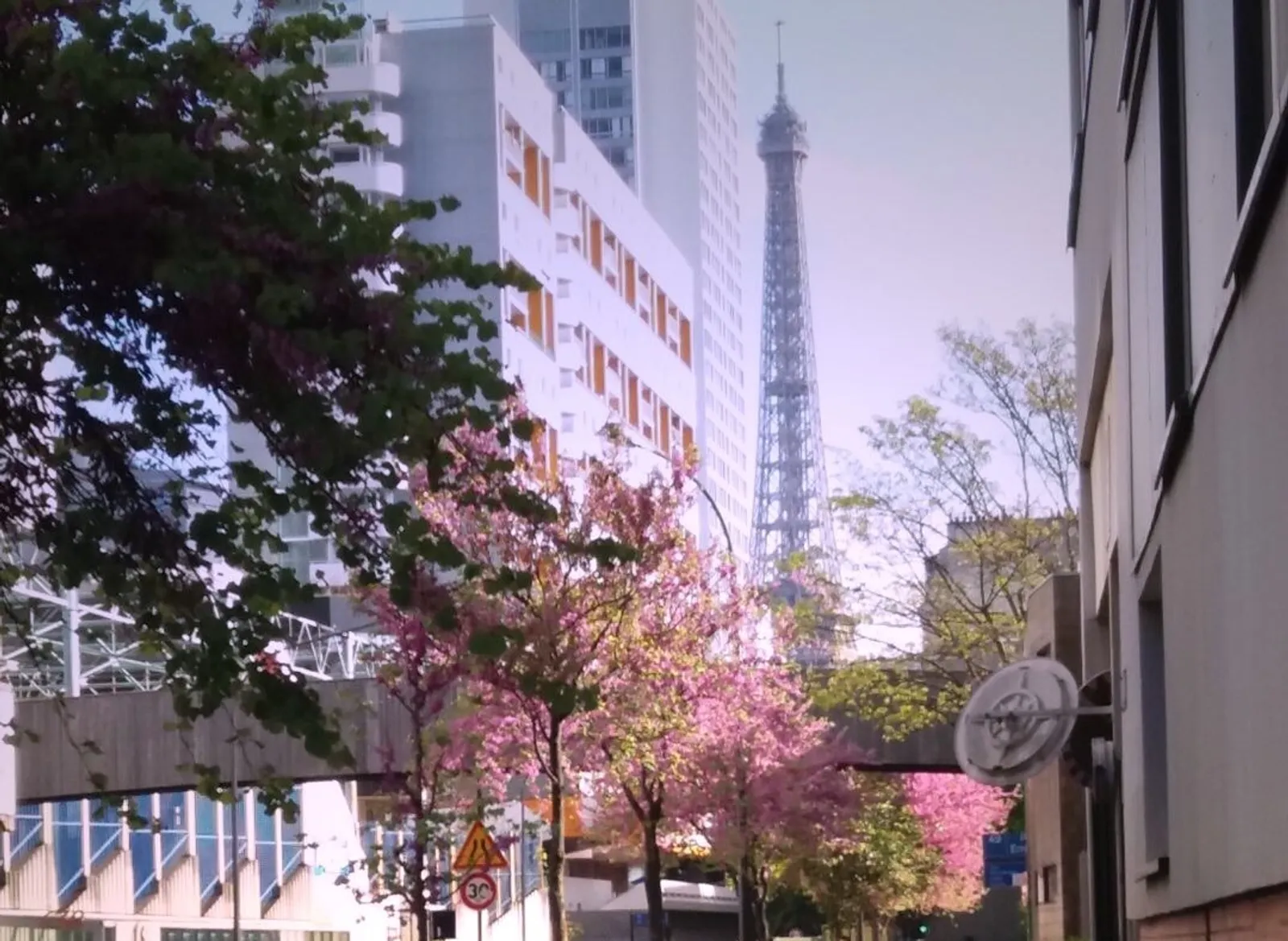 Image 2668749 (auto)