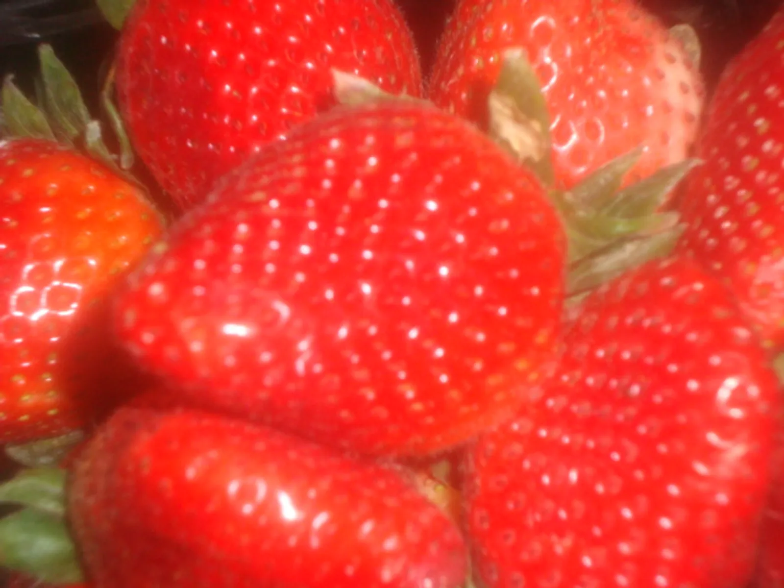 Jagode