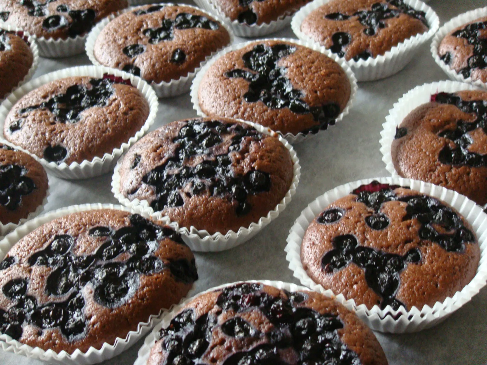 muffini