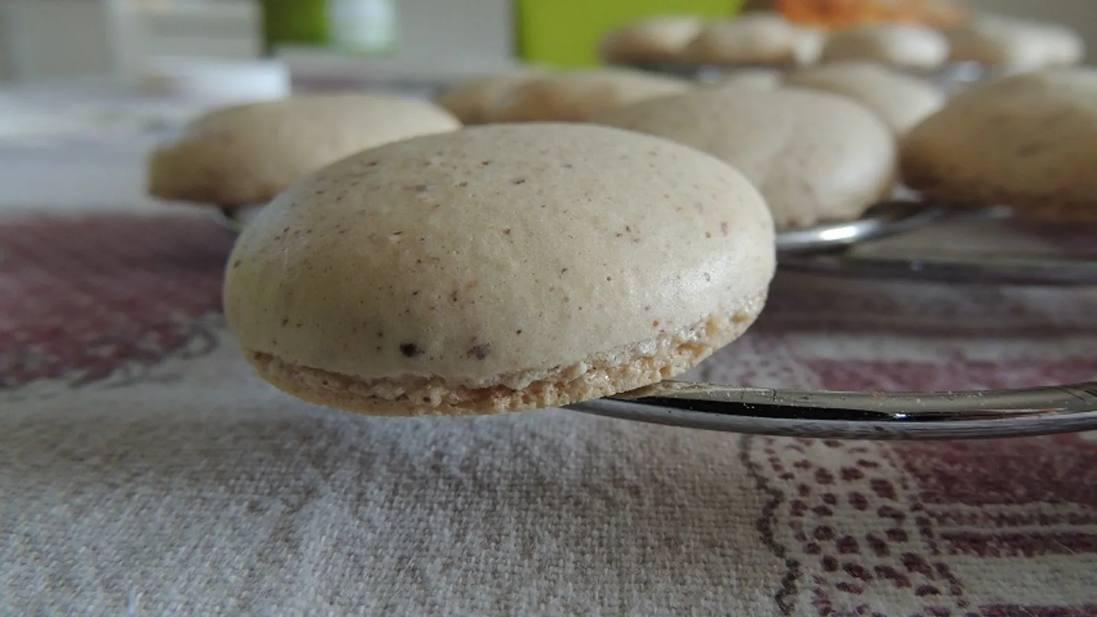 Macarons - DajanaD