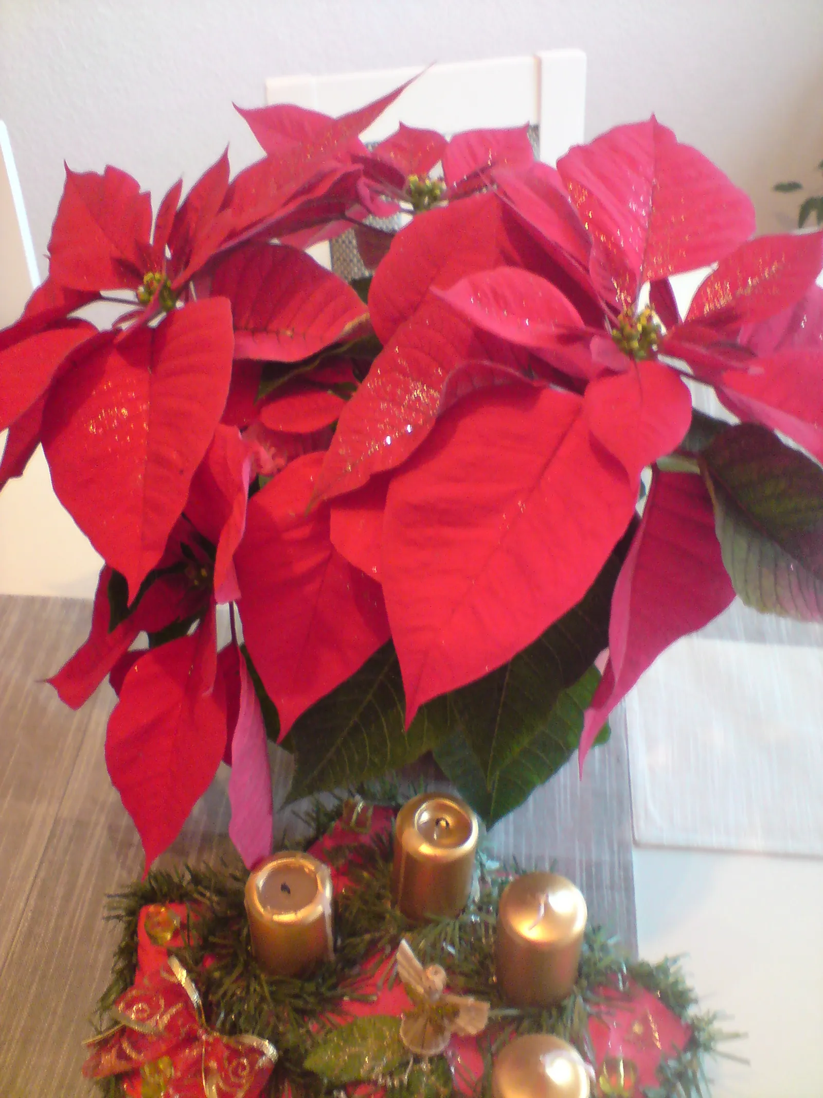 Advent