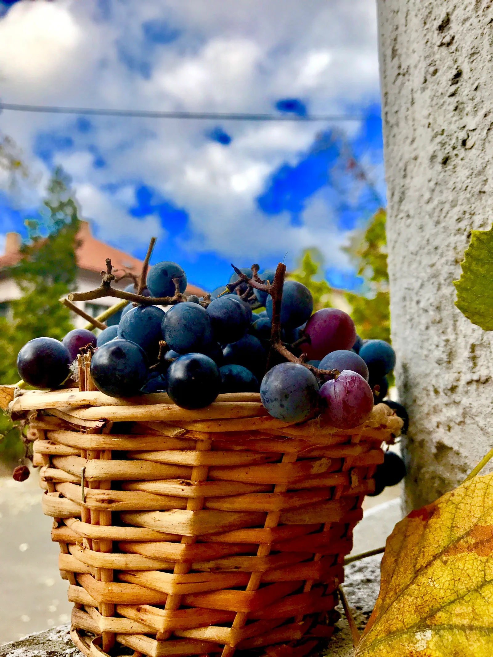 Dekorativna fotografija