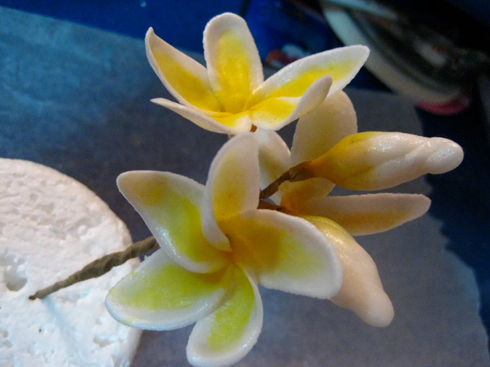 Gumpaste frangipani, hvala DaSilva za slike