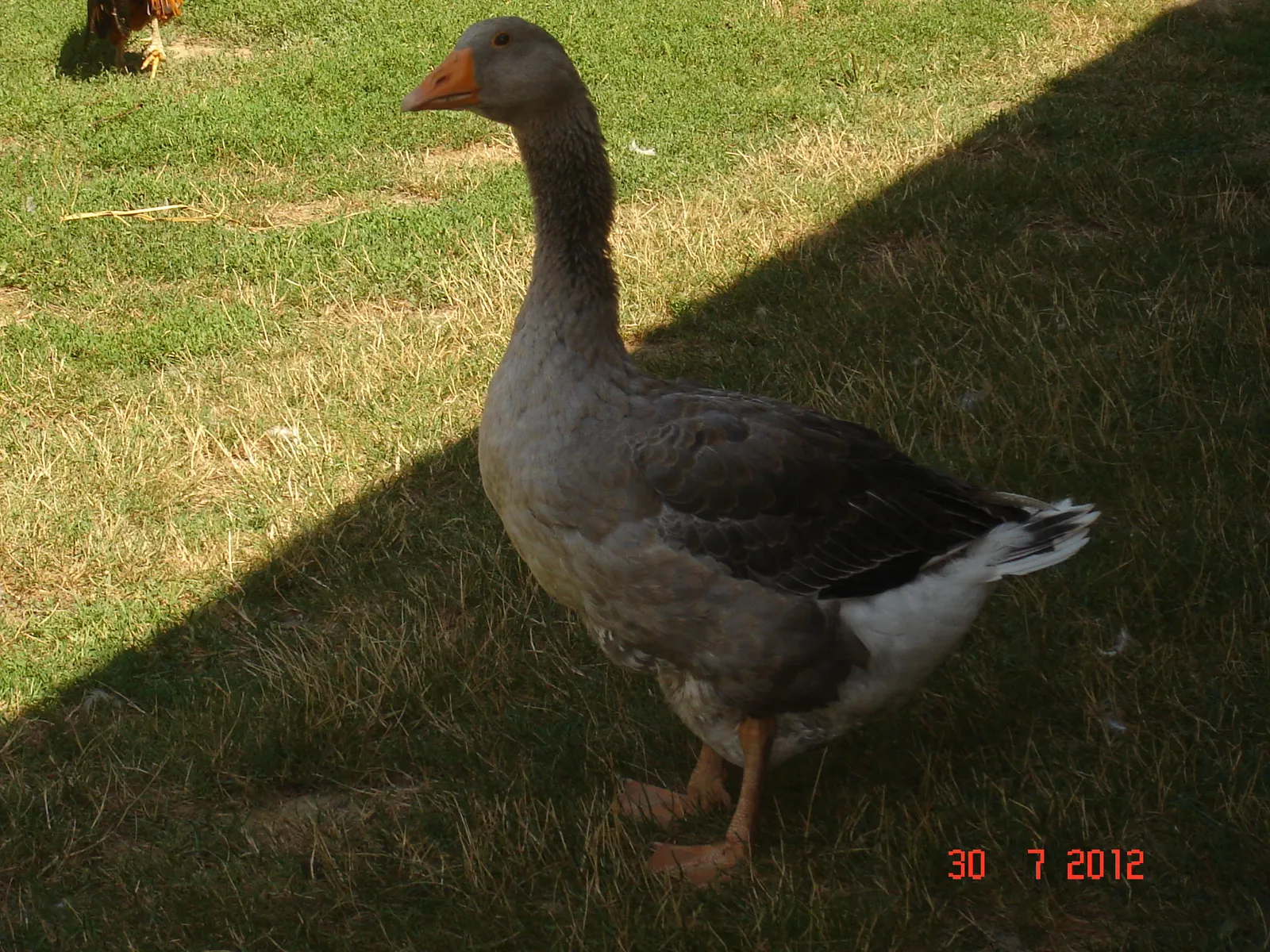 dc1be0e2-6362-11eb-8e1c-0242ac120045