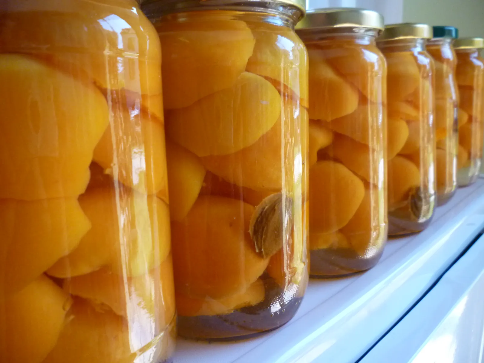 Kompot od marelica by babika