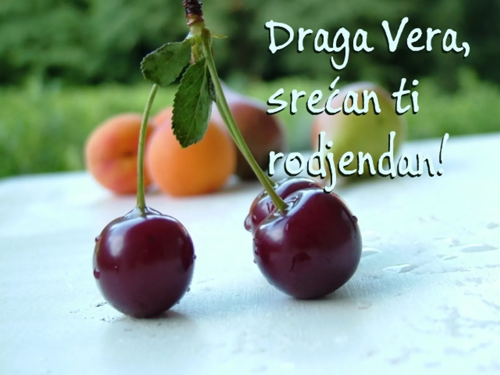 Draga Vera (FF)...